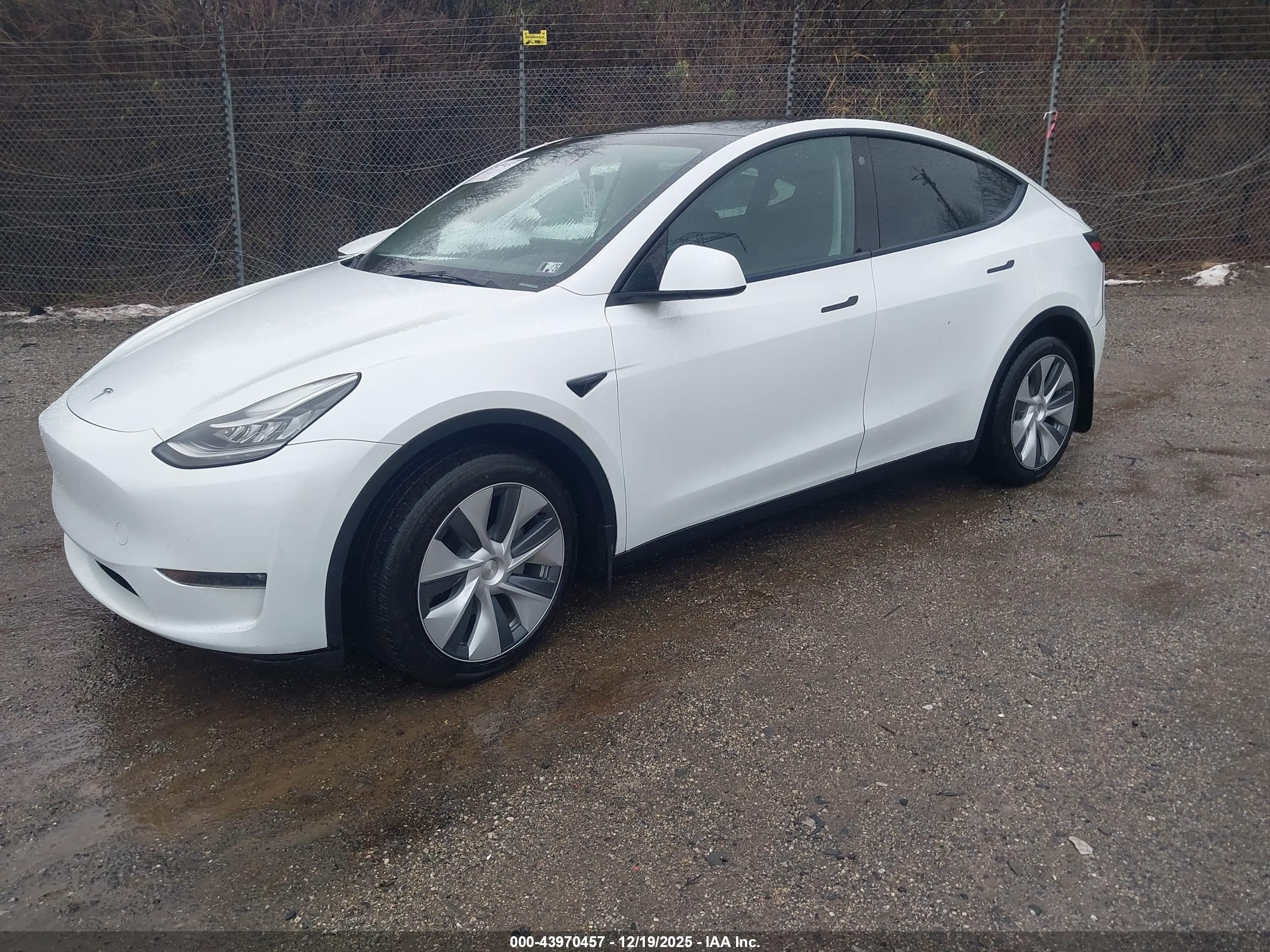 TESLA MODEL image 2