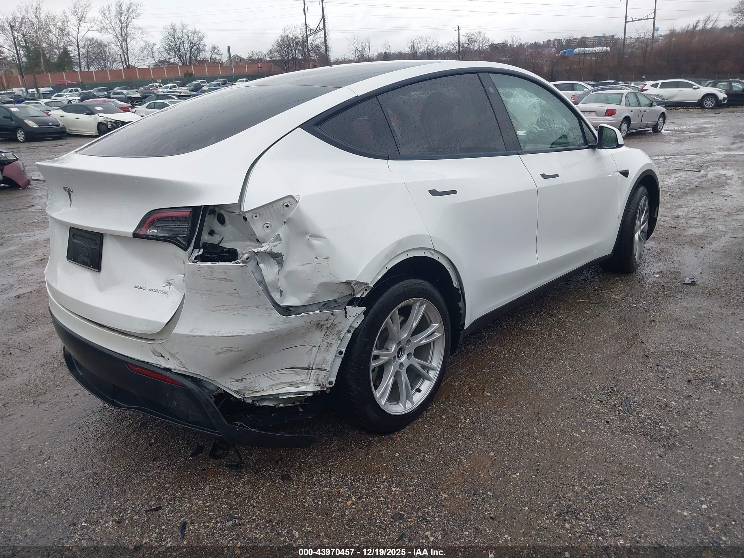 TESLA MODEL image 4