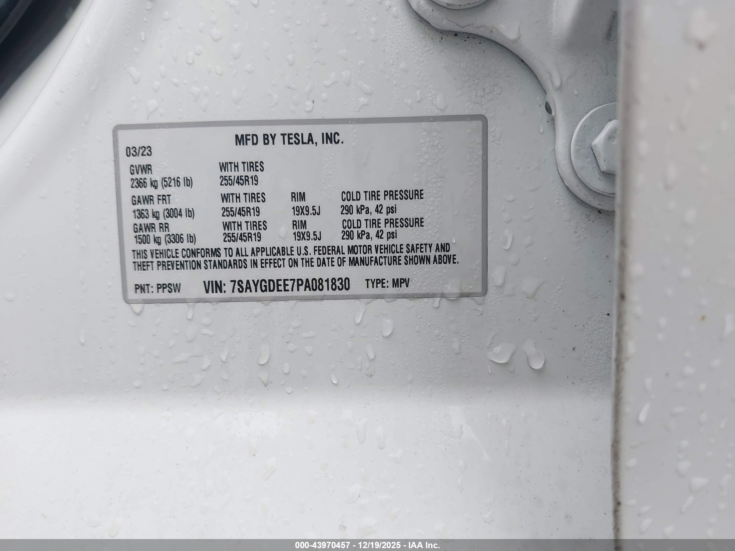 TESLA MODEL image 9
