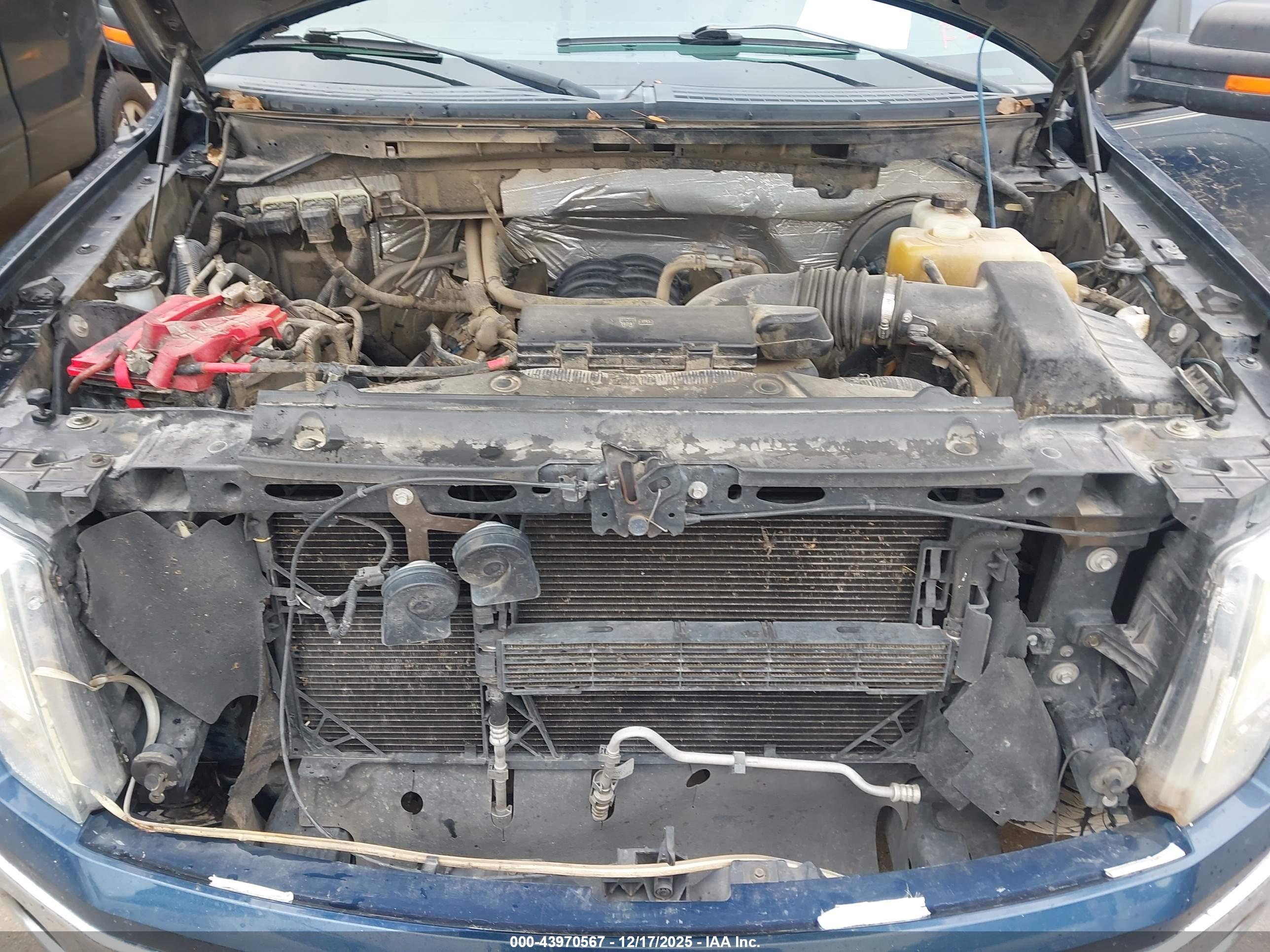 FORD F-150 image 10