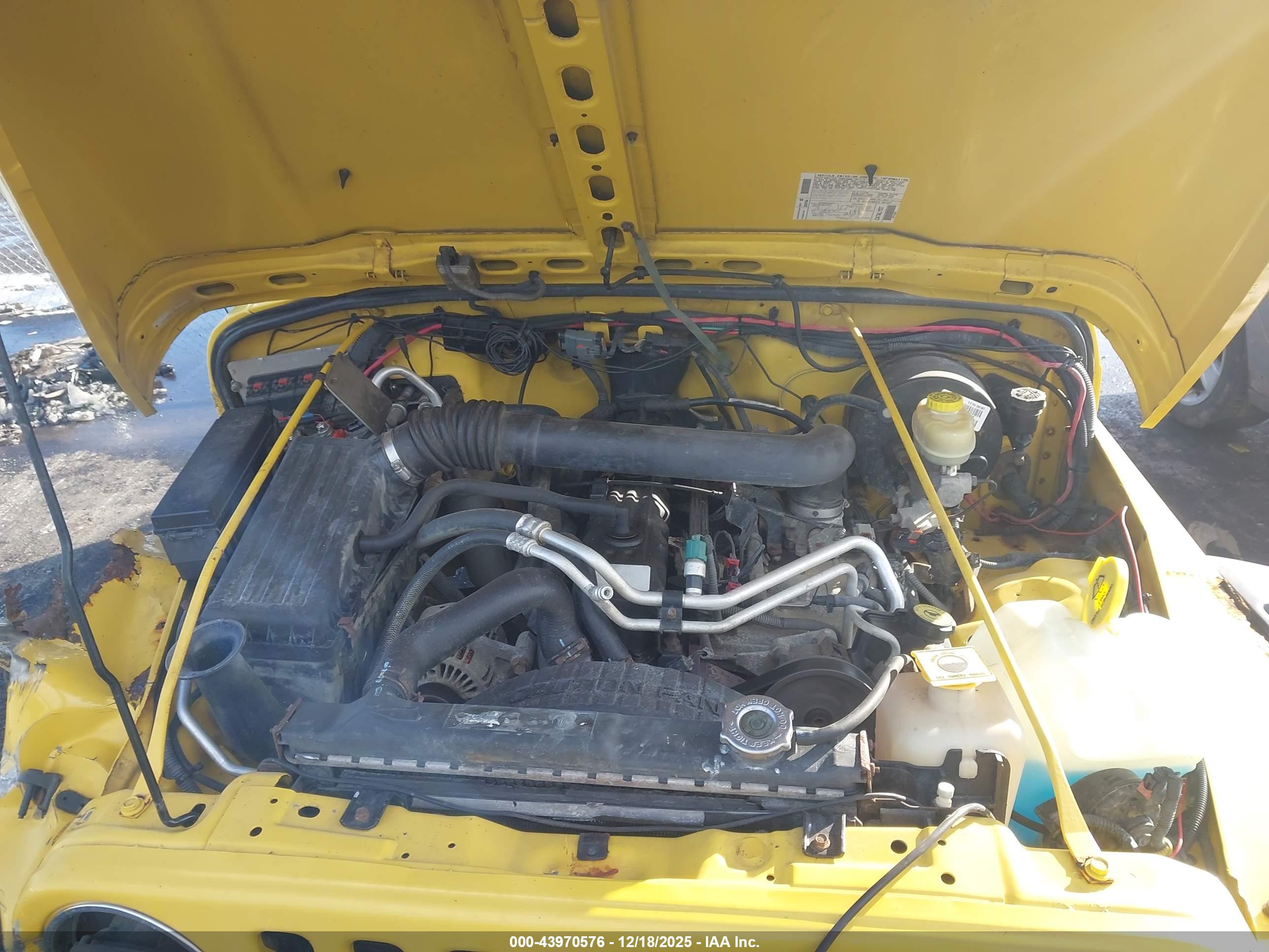 JEEP WRANGLER image 10