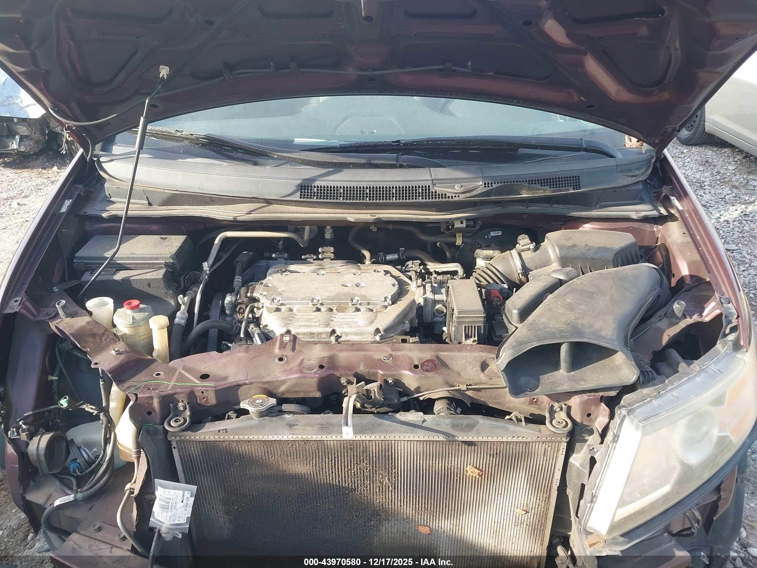 HONDA ODYSSEY image 10