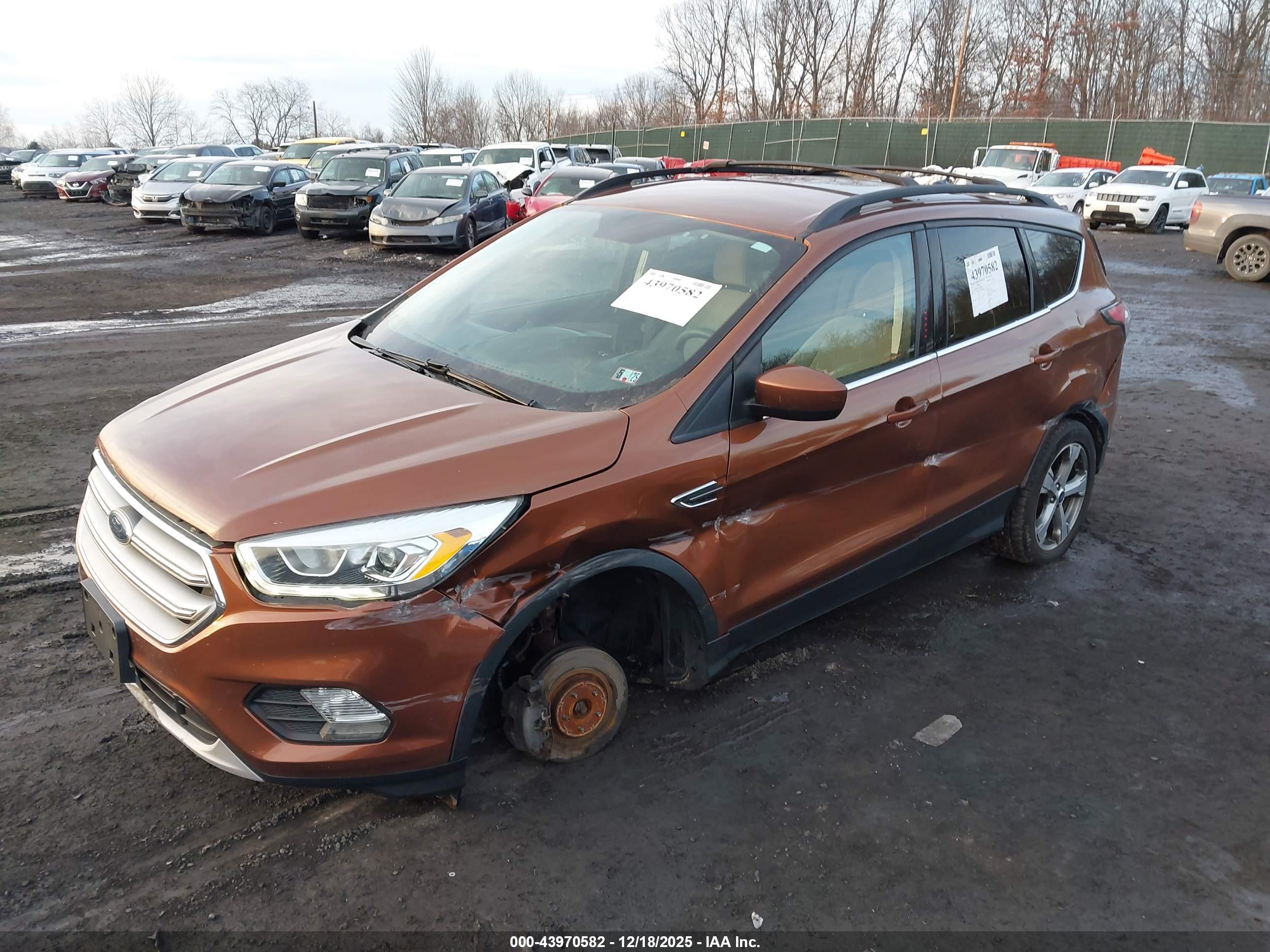 FORD ESCAPE image 2