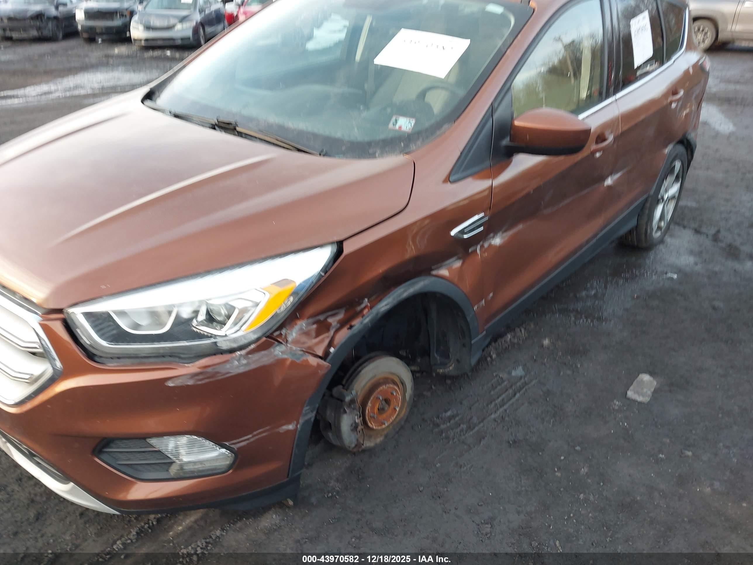 FORD ESCAPE image 6