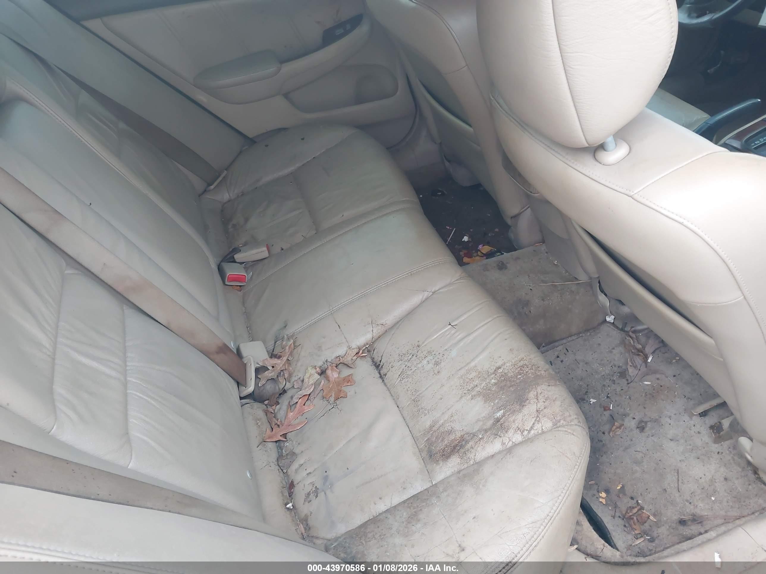 HONDA ACCORD image 8