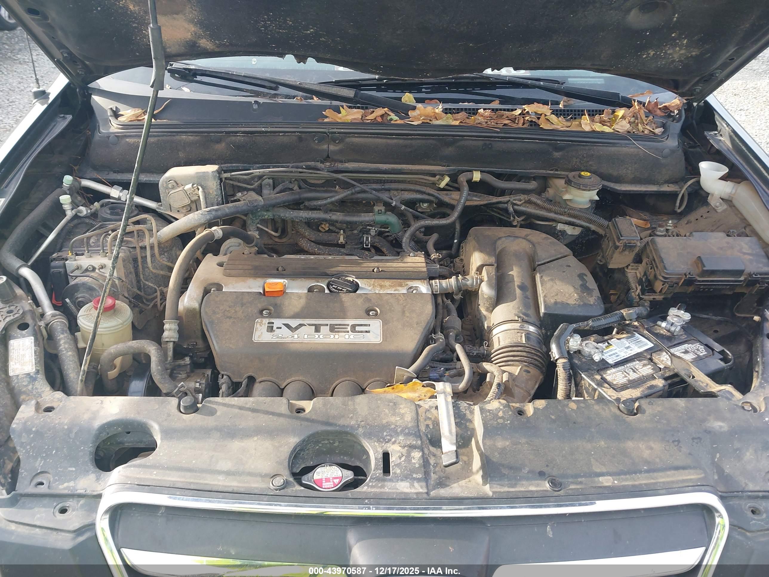 HONDA CR-V image 10