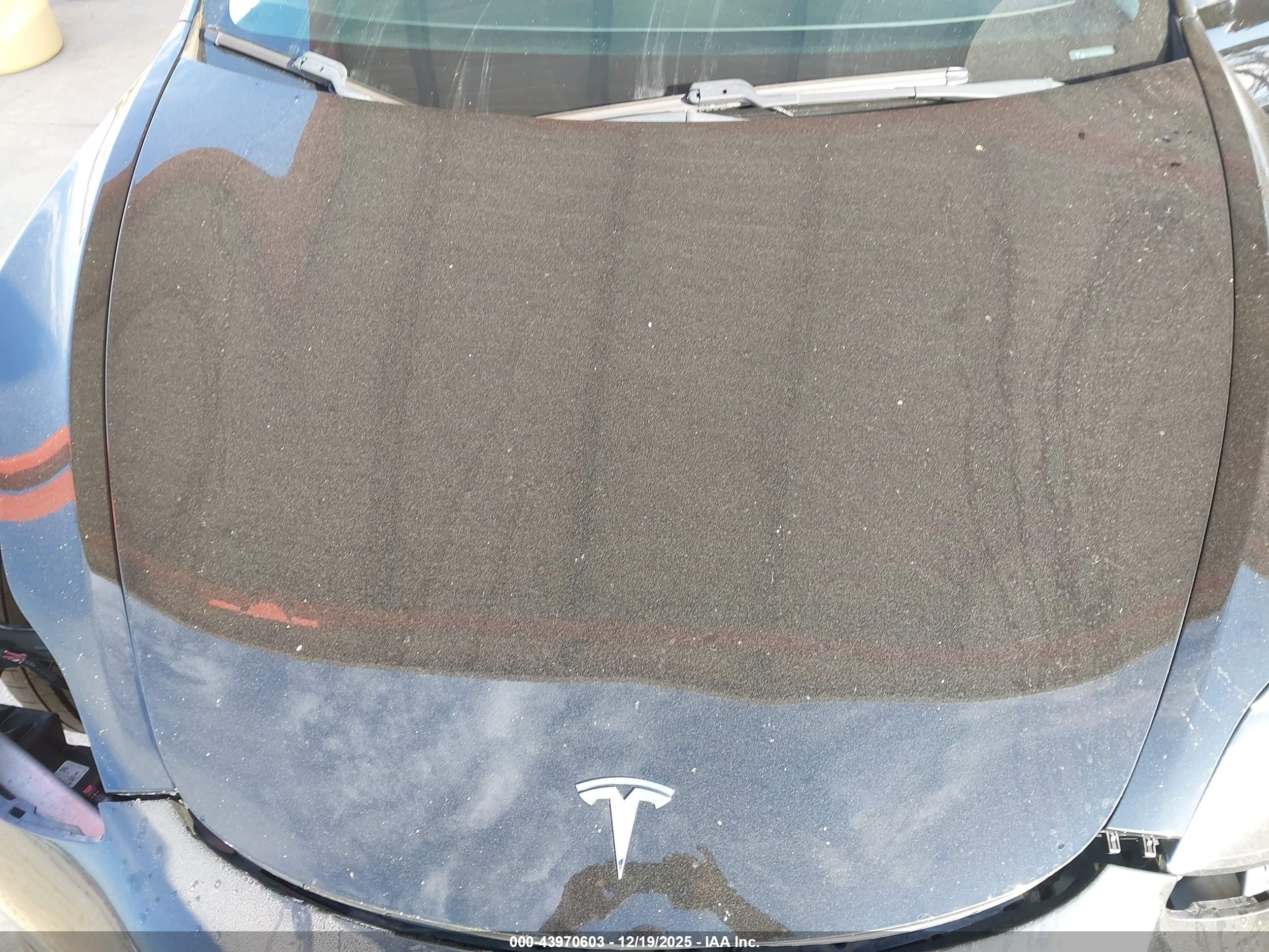 TESLA MODEL image 10