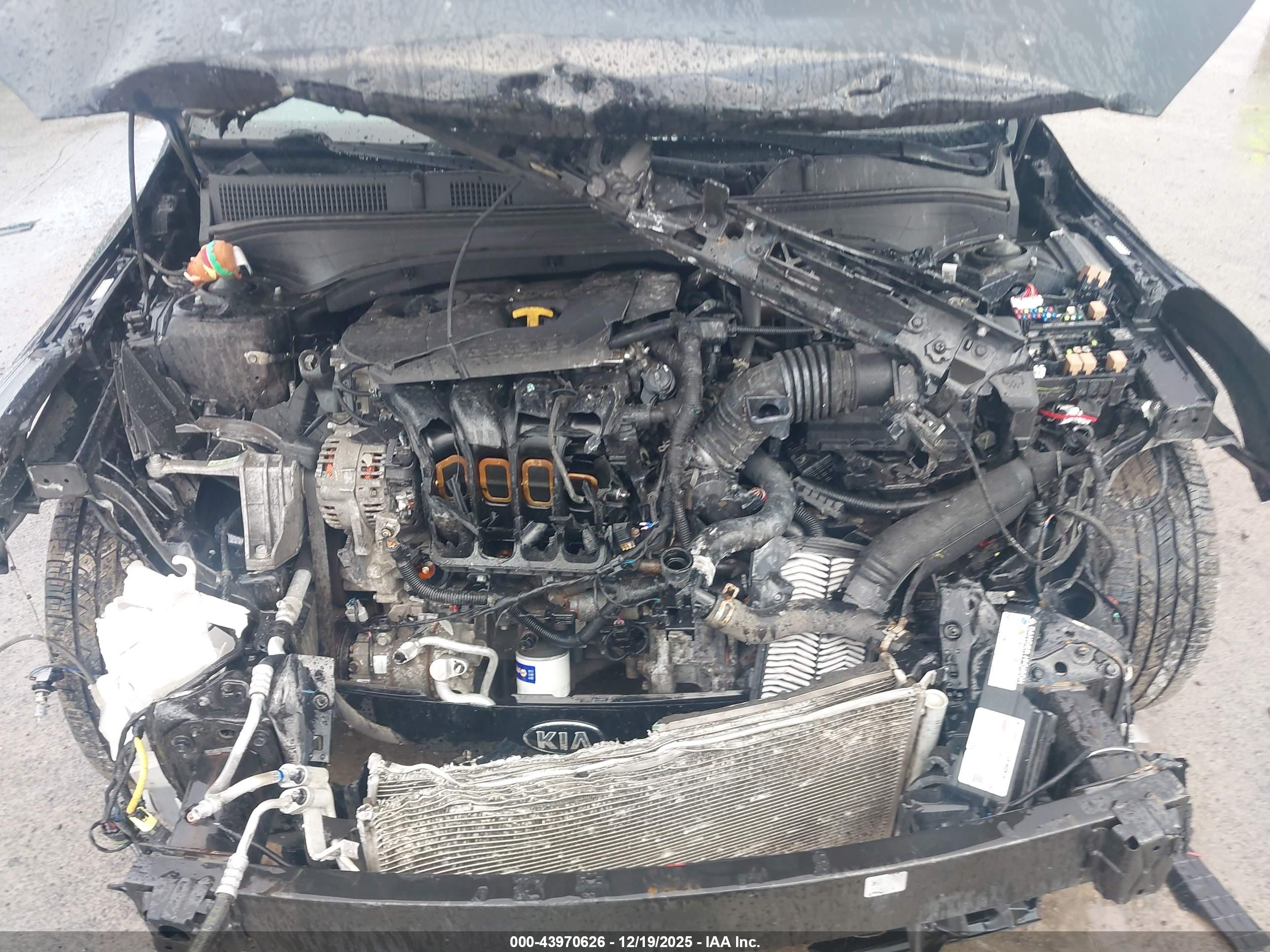 KIA FORTE image 10