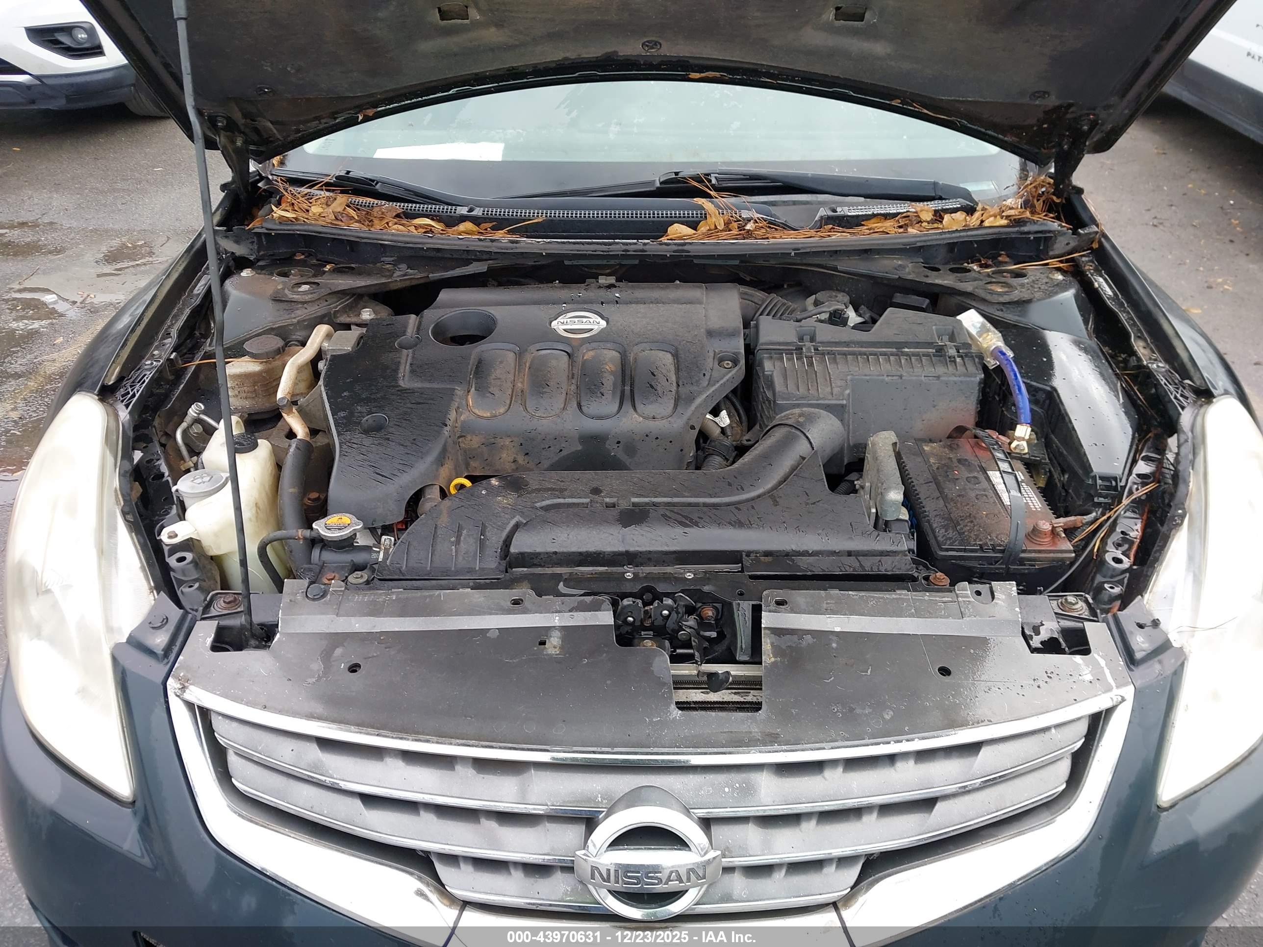 NISSAN ALTIMA image 10