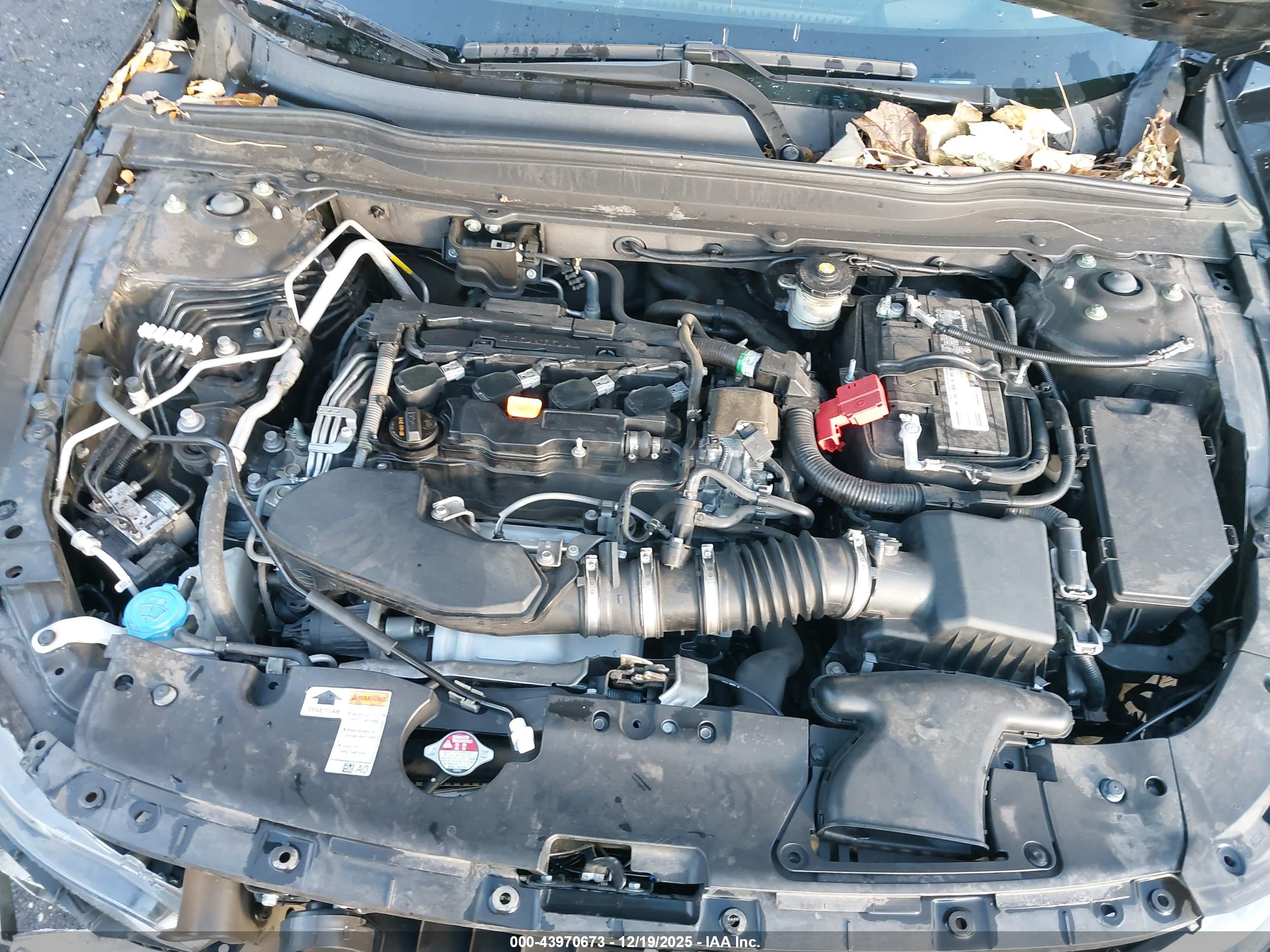 HONDA ACCORD image 10