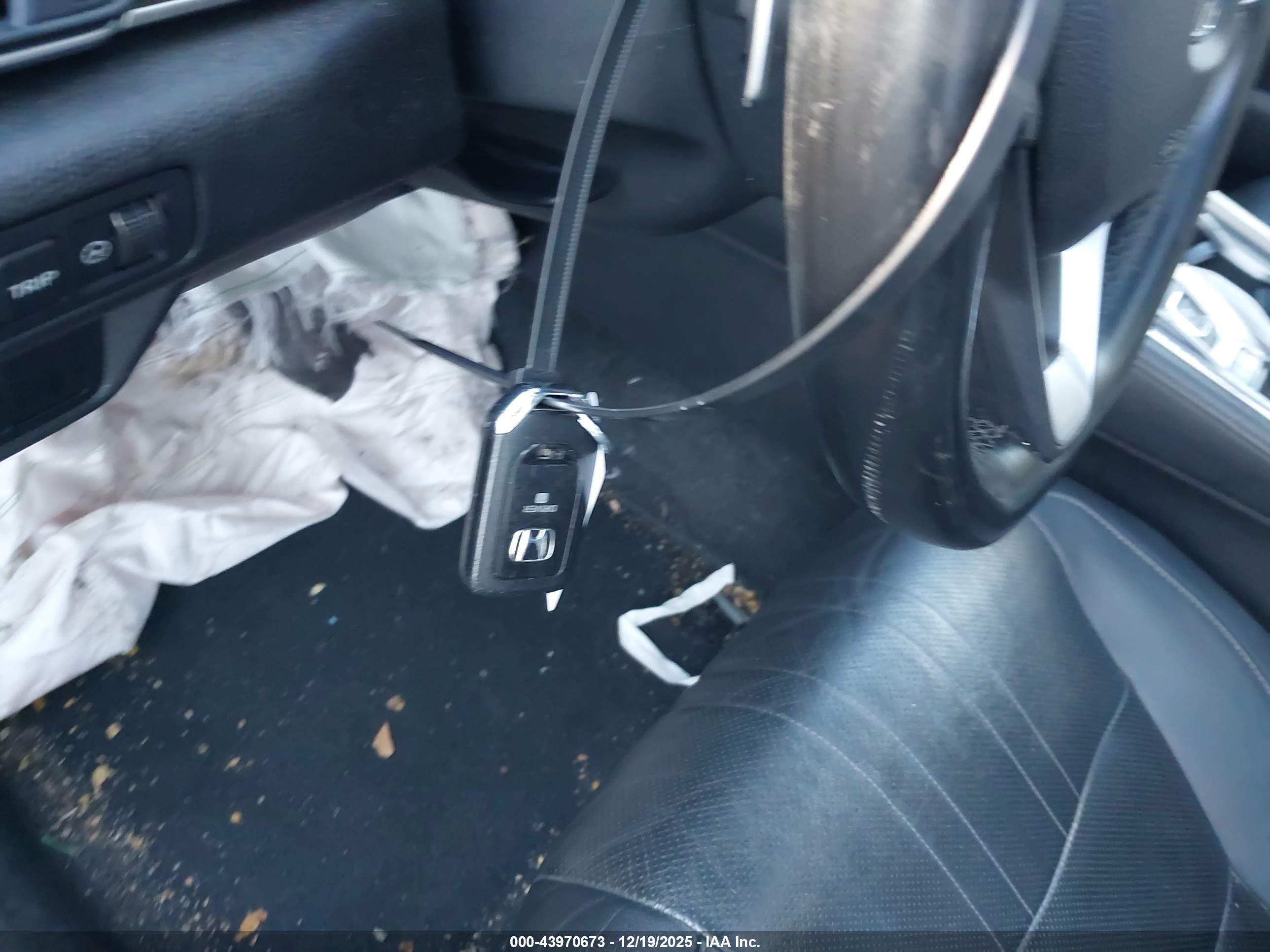 HONDA ACCORD image 11