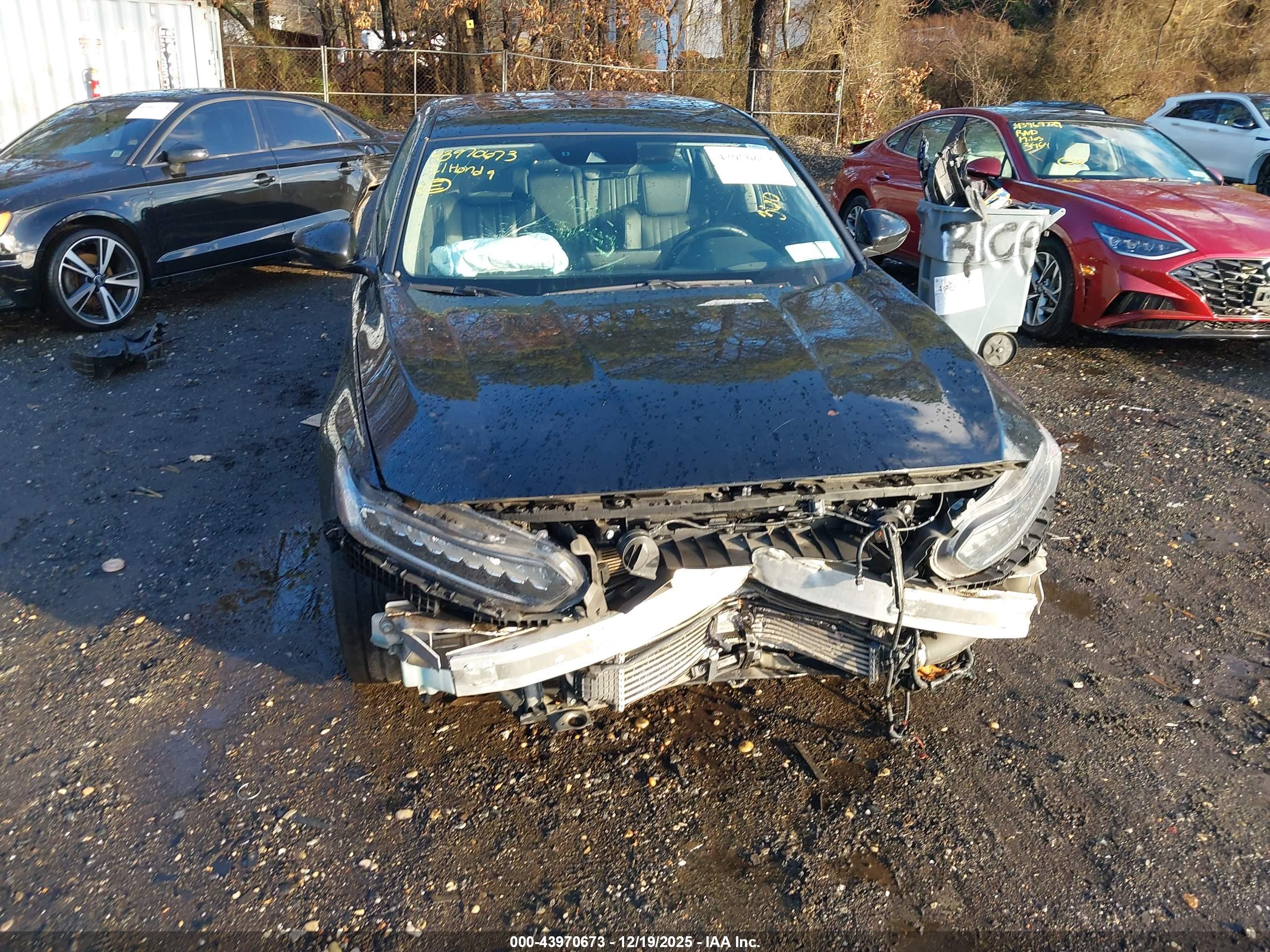 HONDA ACCORD image 6