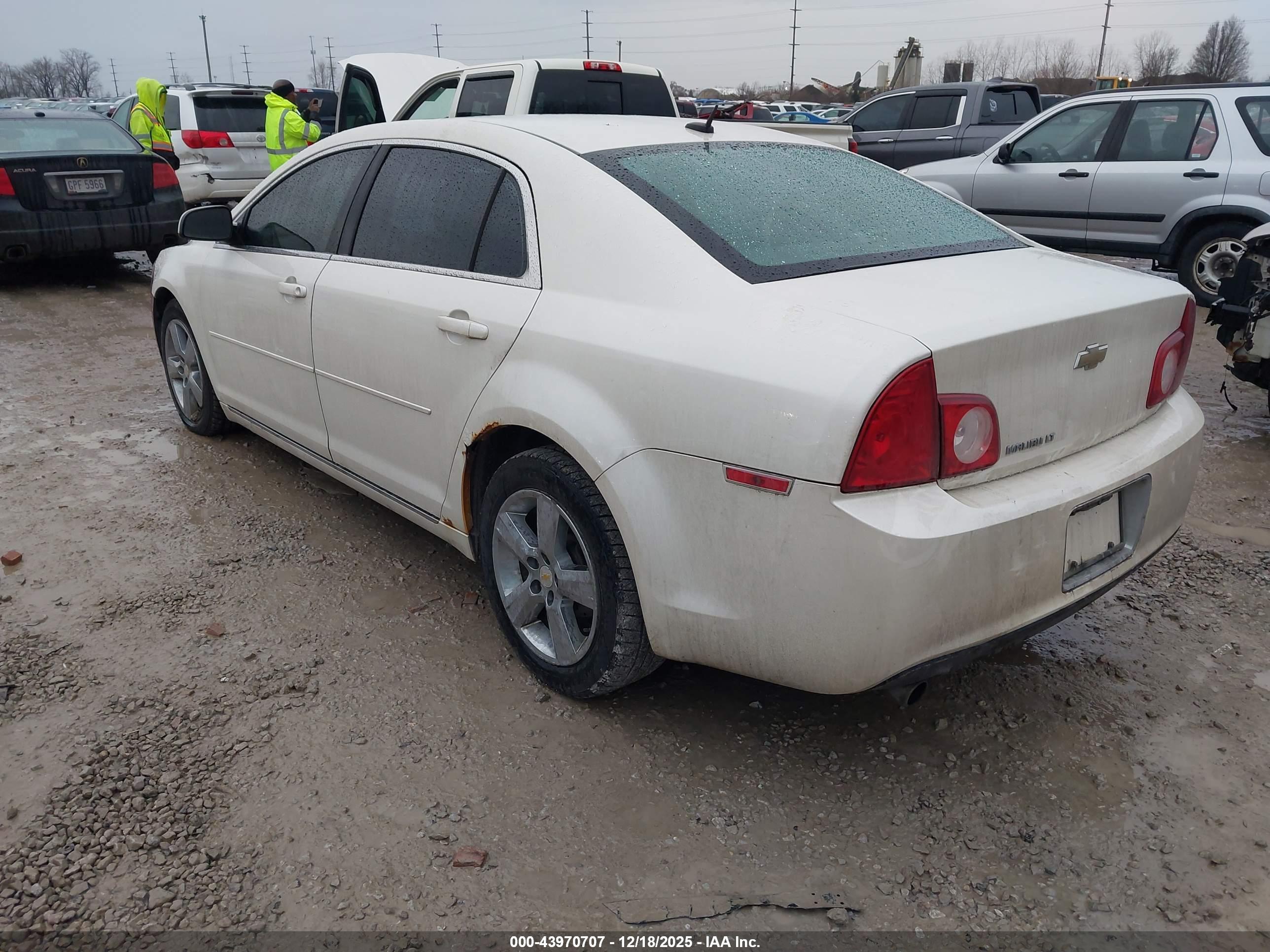 CHEVROLET MALIBU image 3