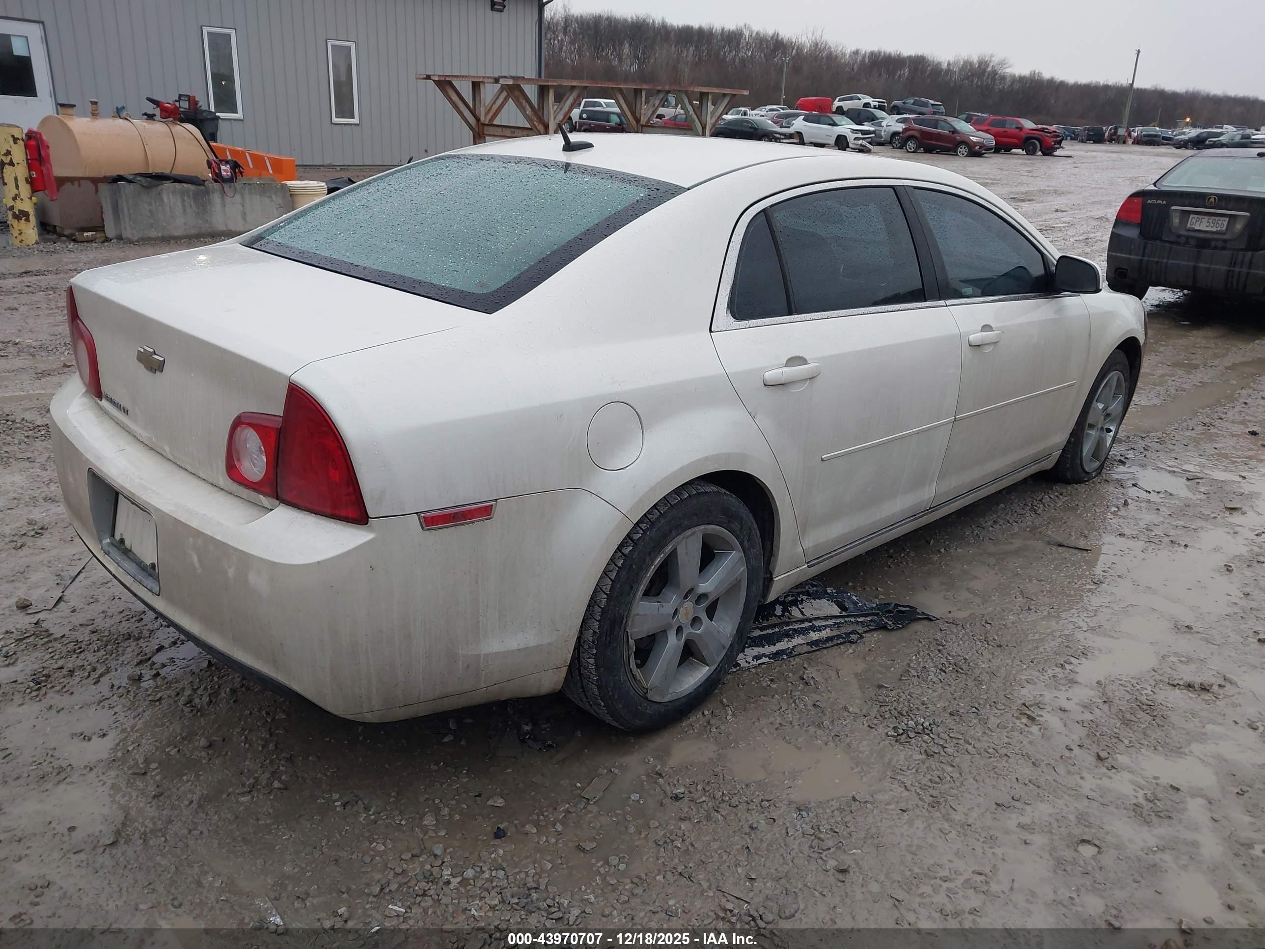 CHEVROLET MALIBU image 4