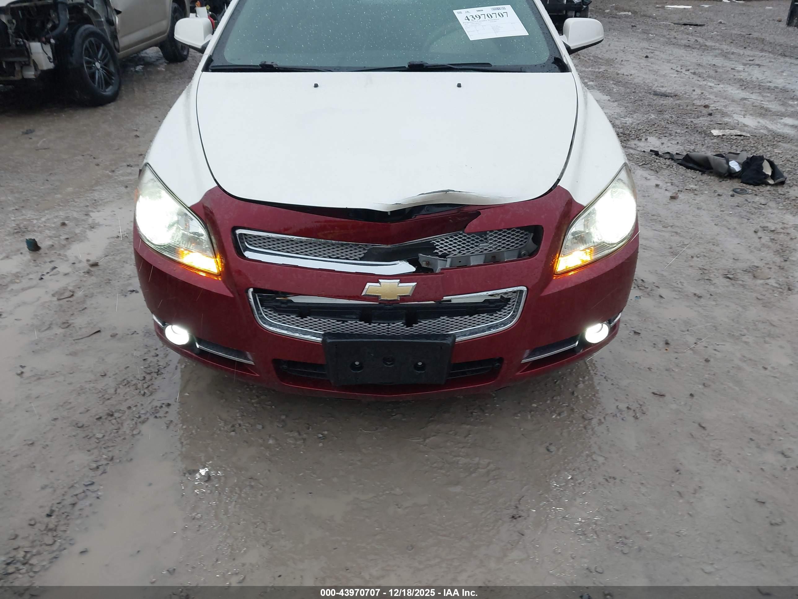 CHEVROLET MALIBU image 6