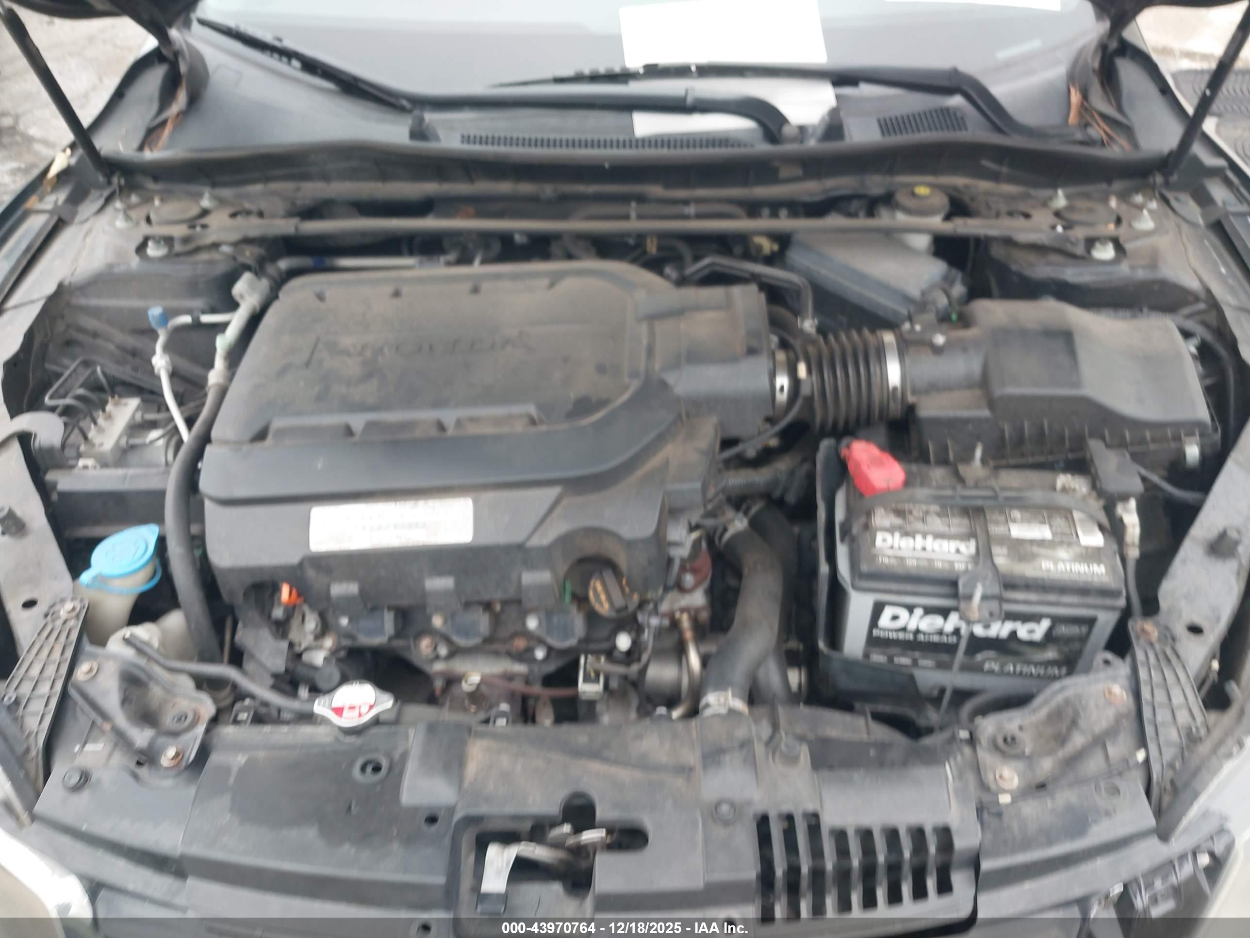 HONDA ACCORD image 10
