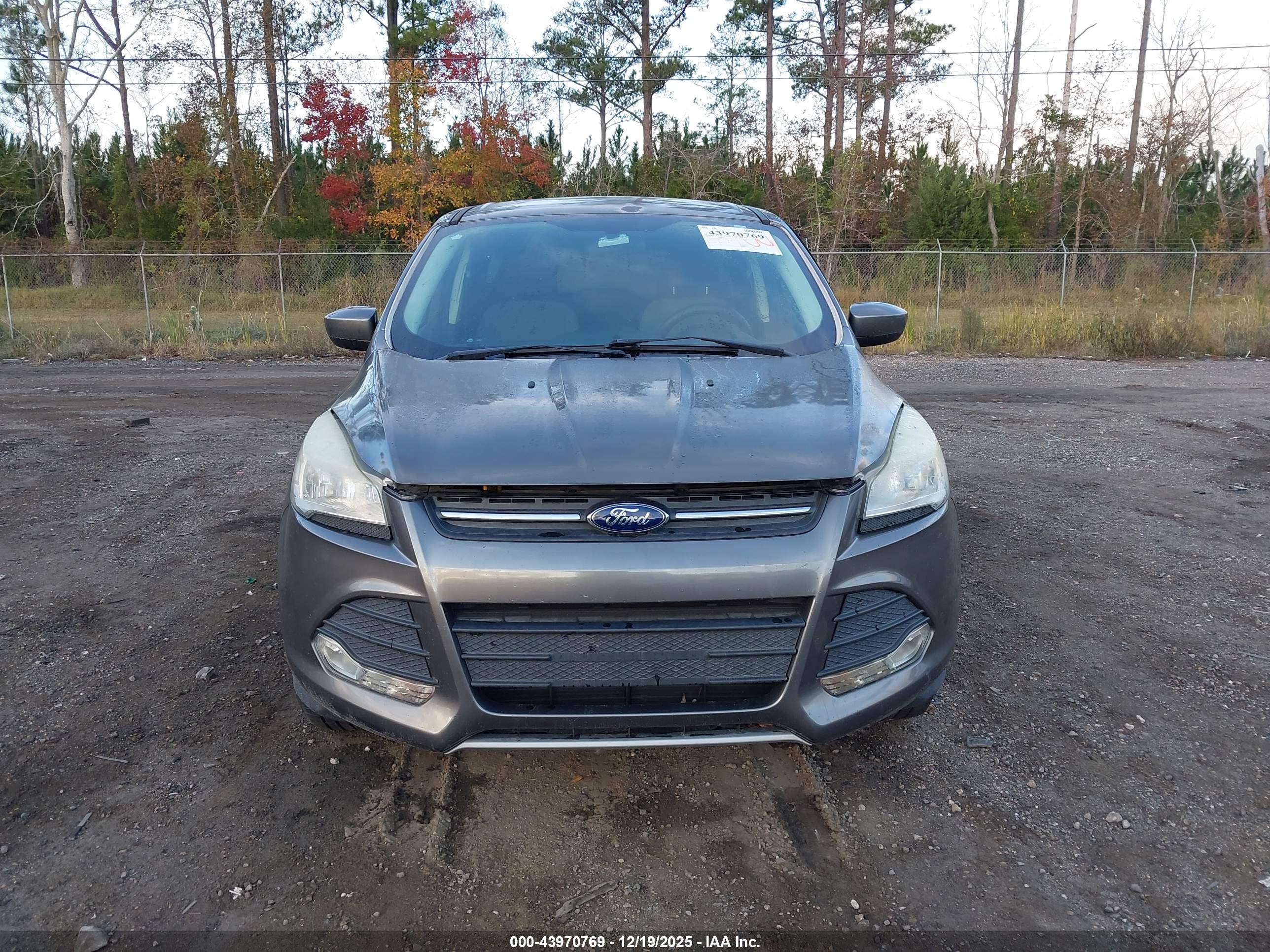 FORD ESCAPE image 6