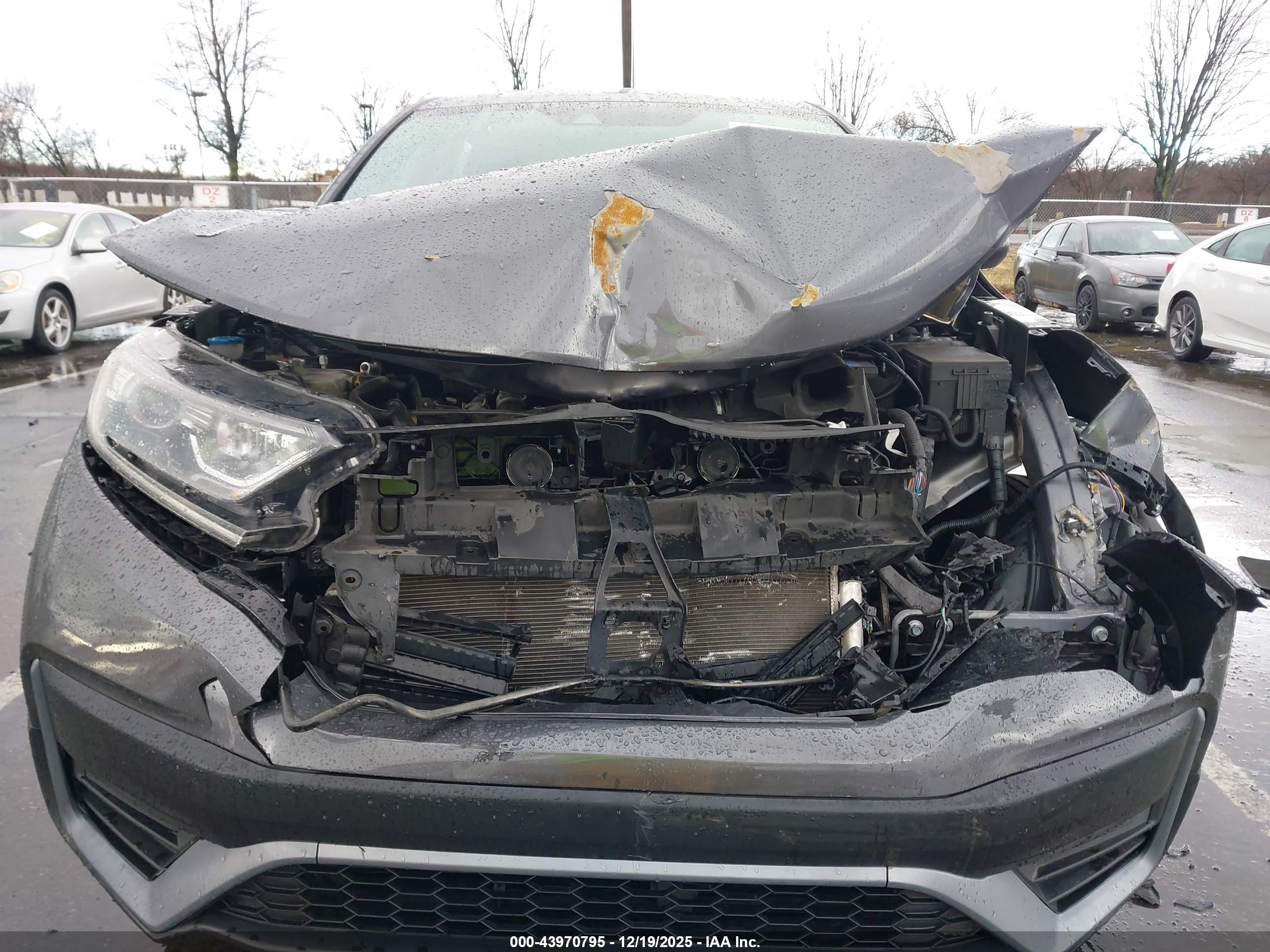 HONDA CR-V image 6