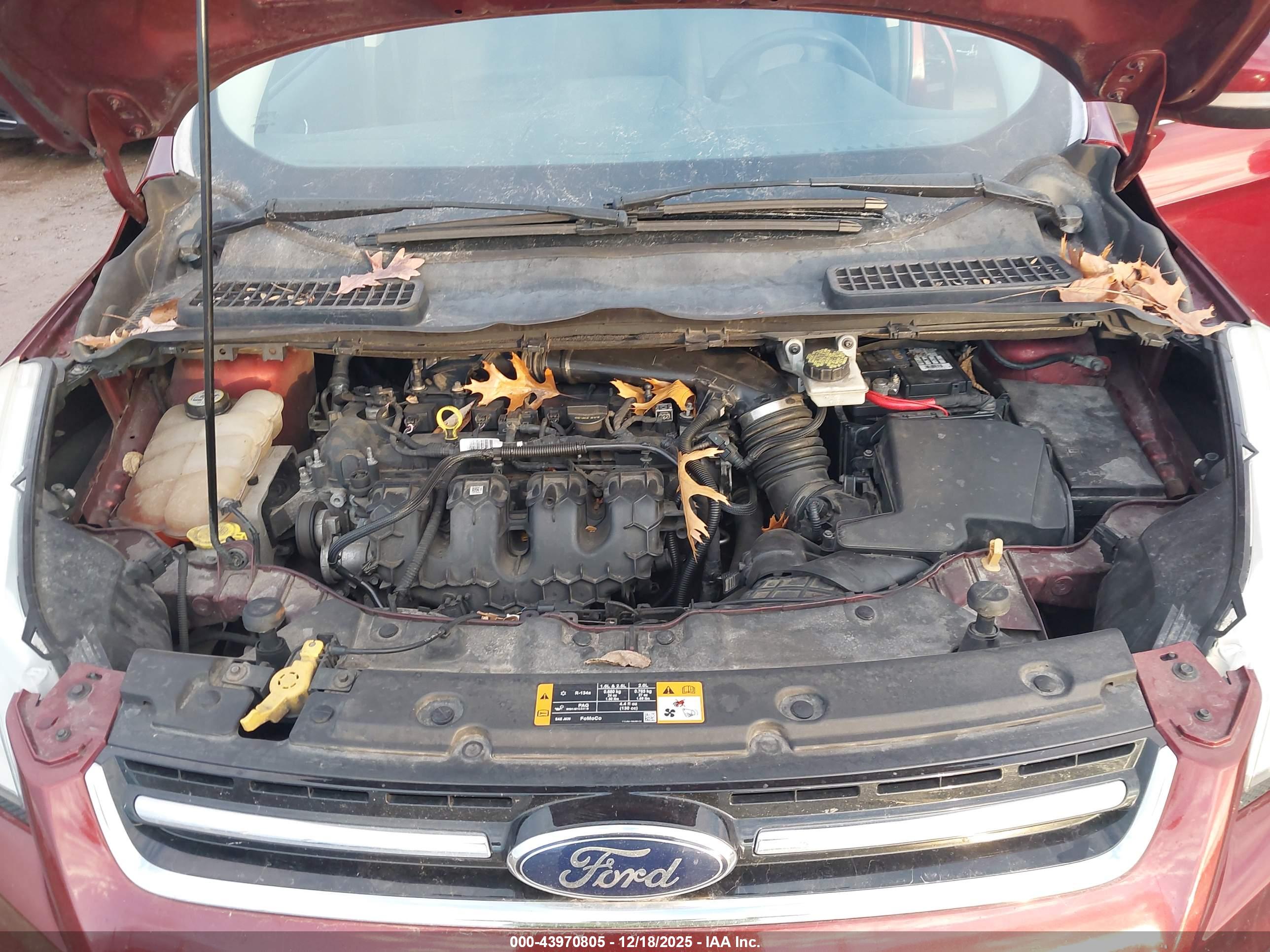 FORD ESCAPE image 10