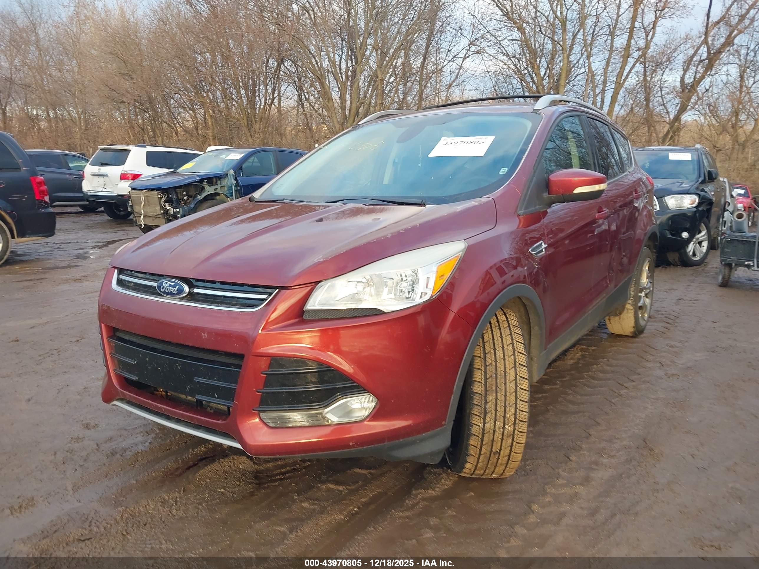 FORD ESCAPE image 2