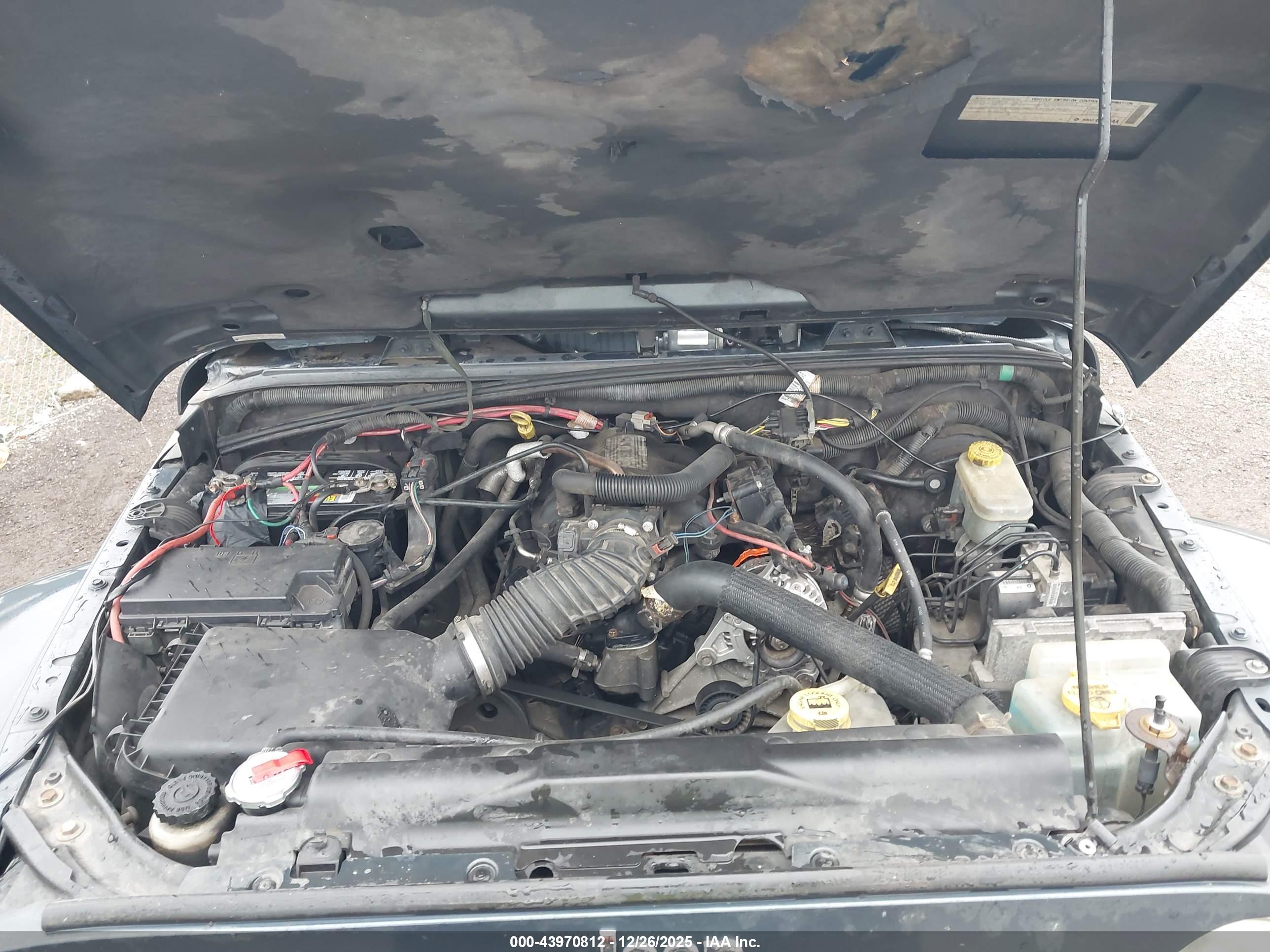 JEEP WRANGLER image 10
