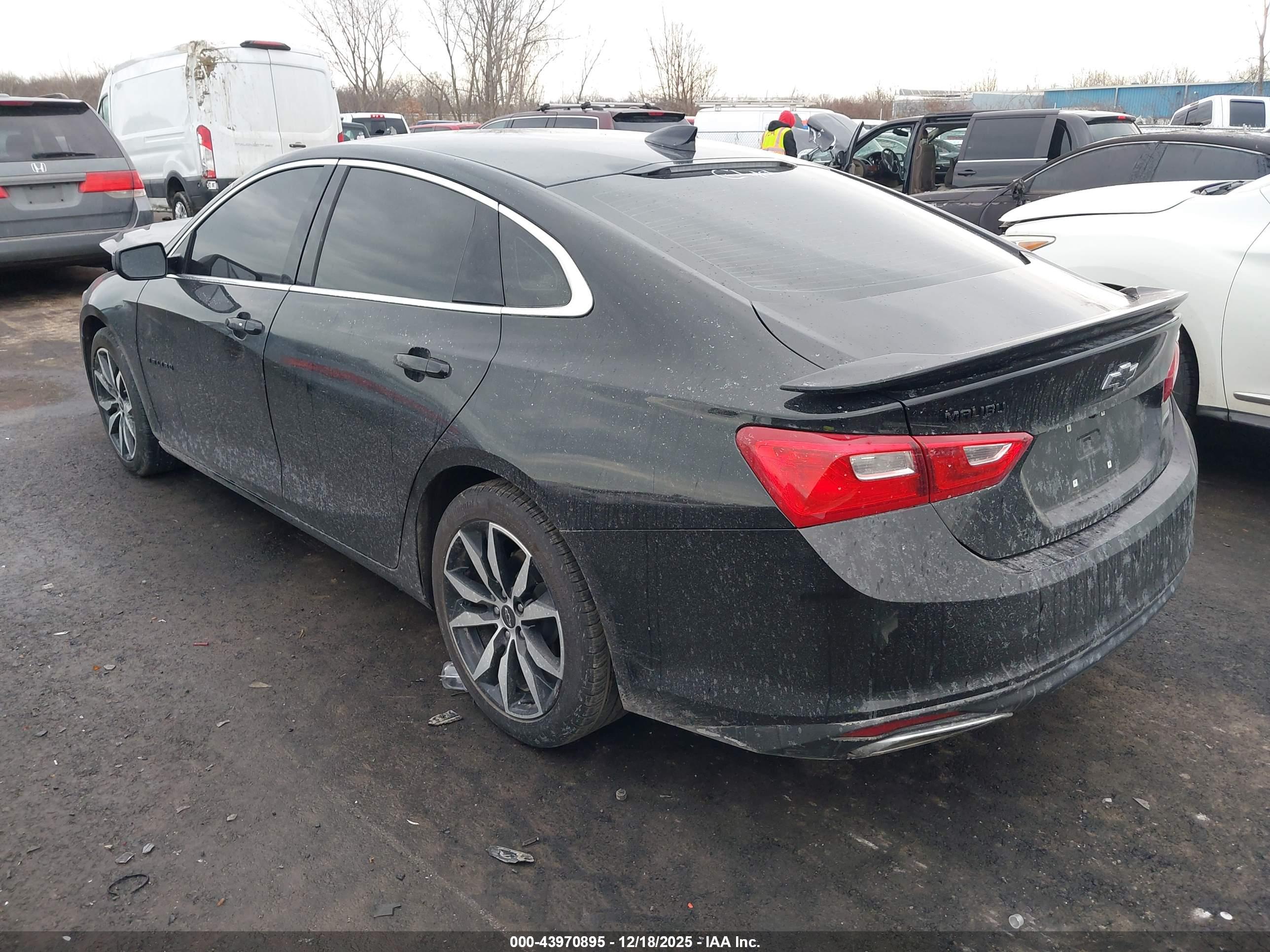 CHEVROLET MALIBU image 3