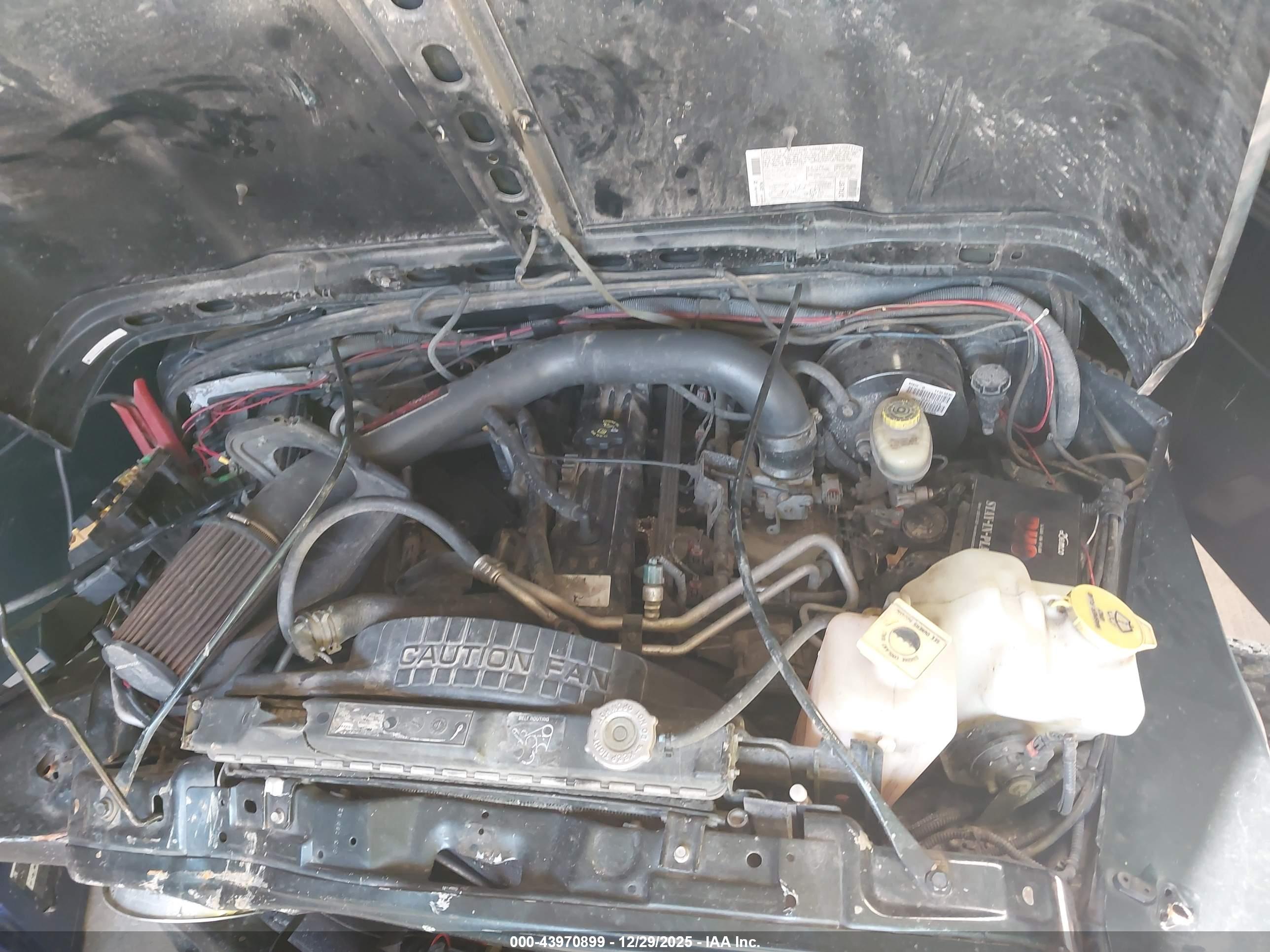 JEEP WRANGLER image 10