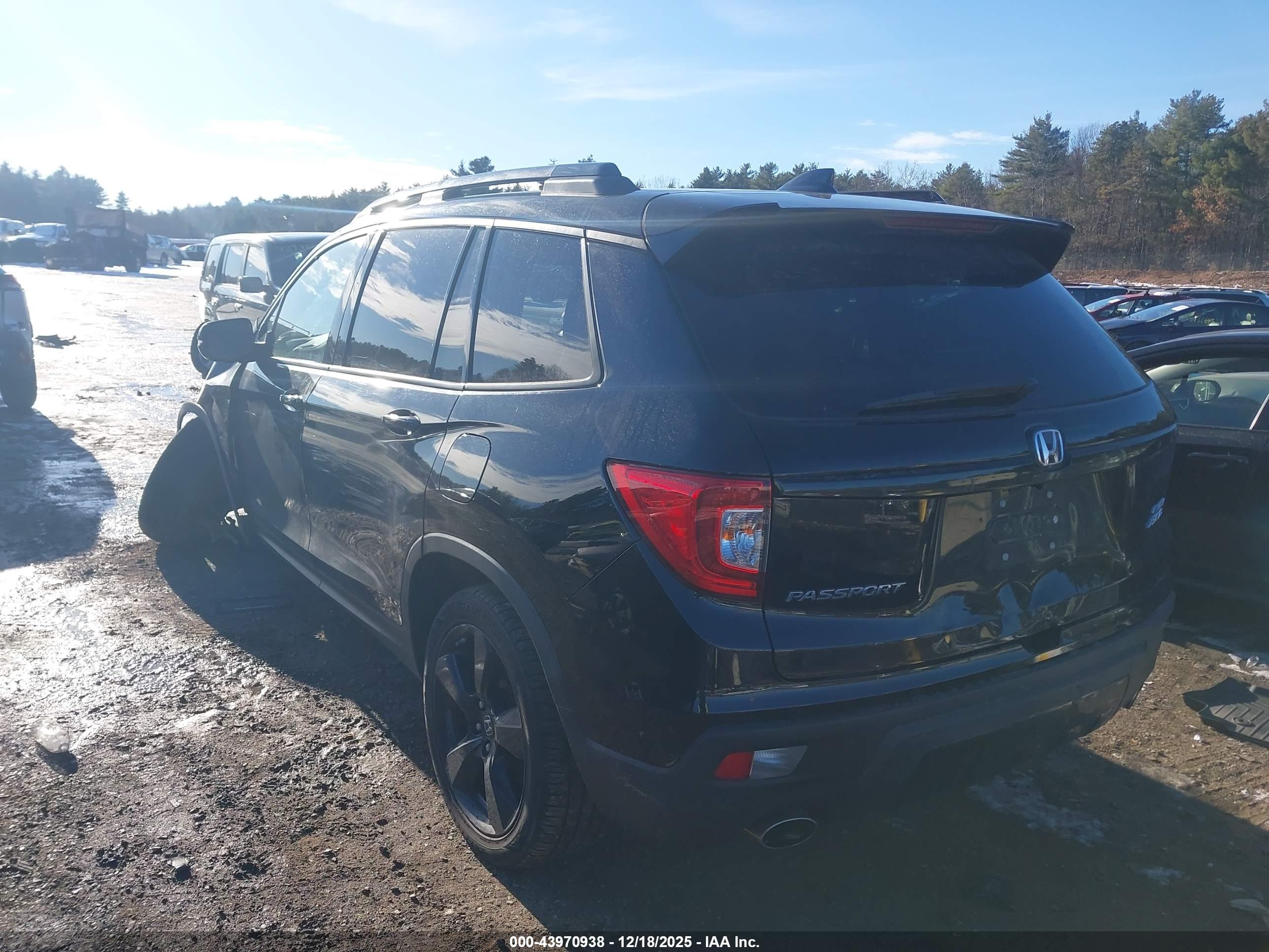 HONDA PASSPORT image 3