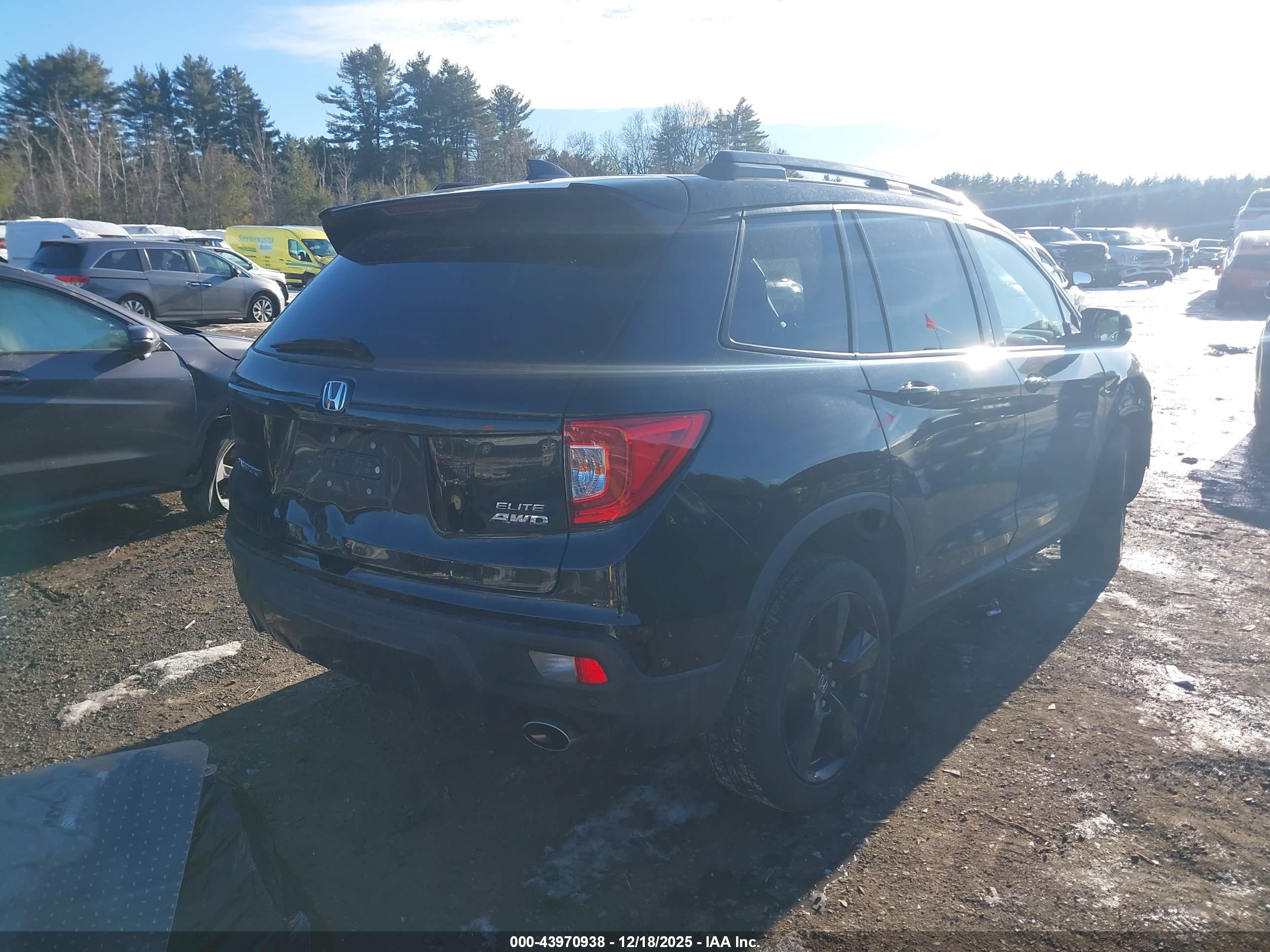 HONDA PASSPORT image 4