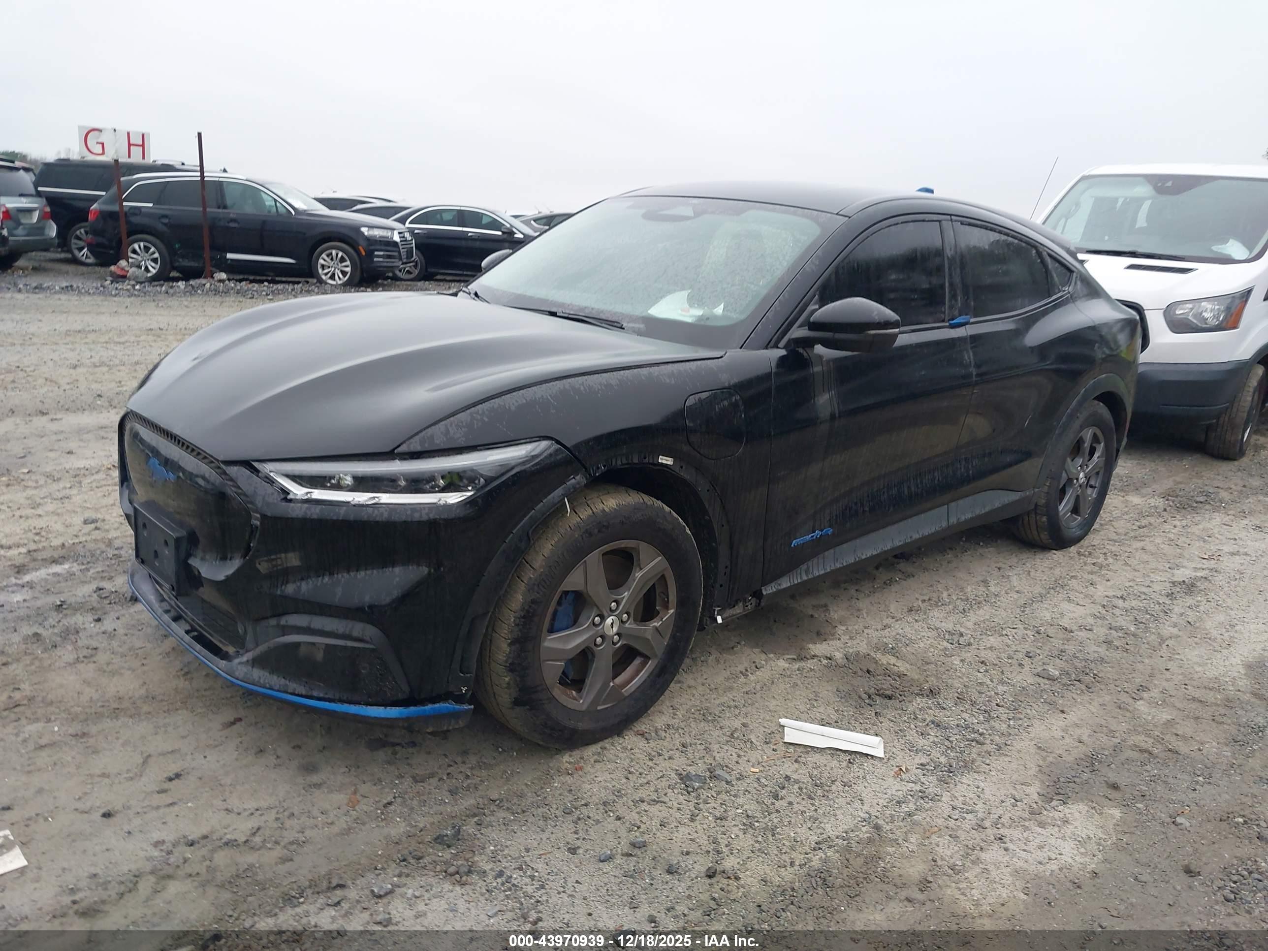 FORD MUSTANG image 2