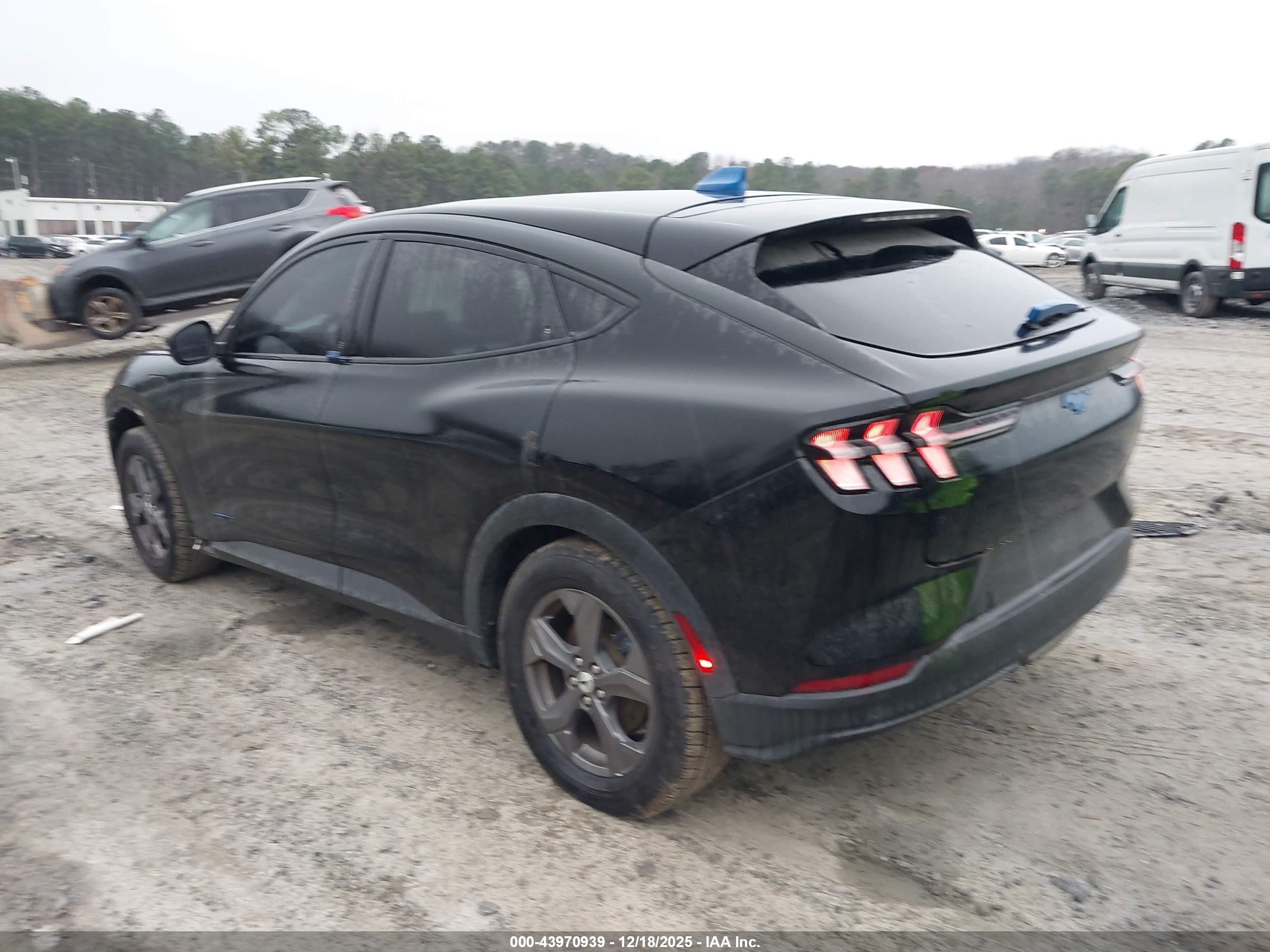 FORD MUSTANG image 3