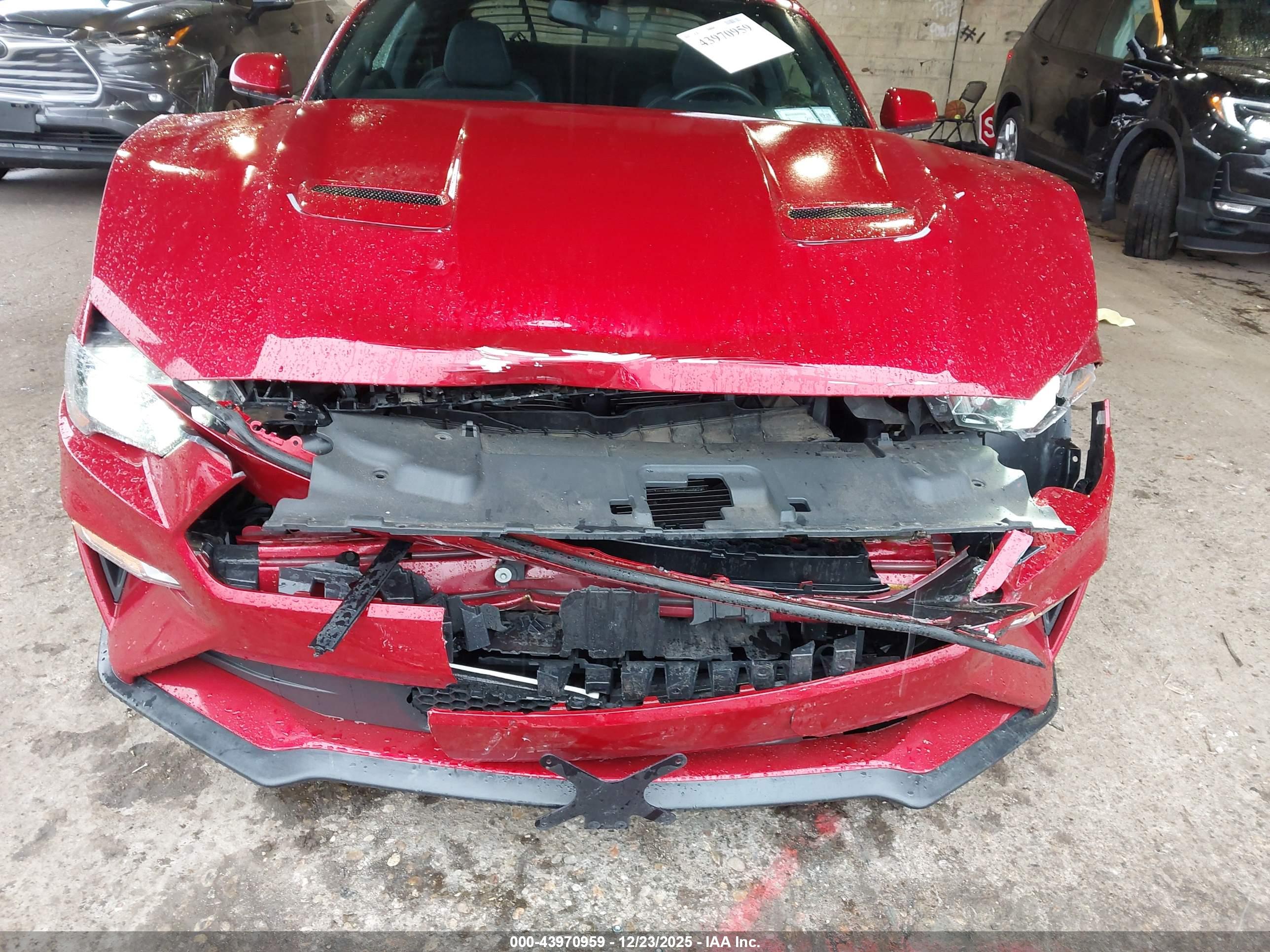 FORD MUSTANG image 6