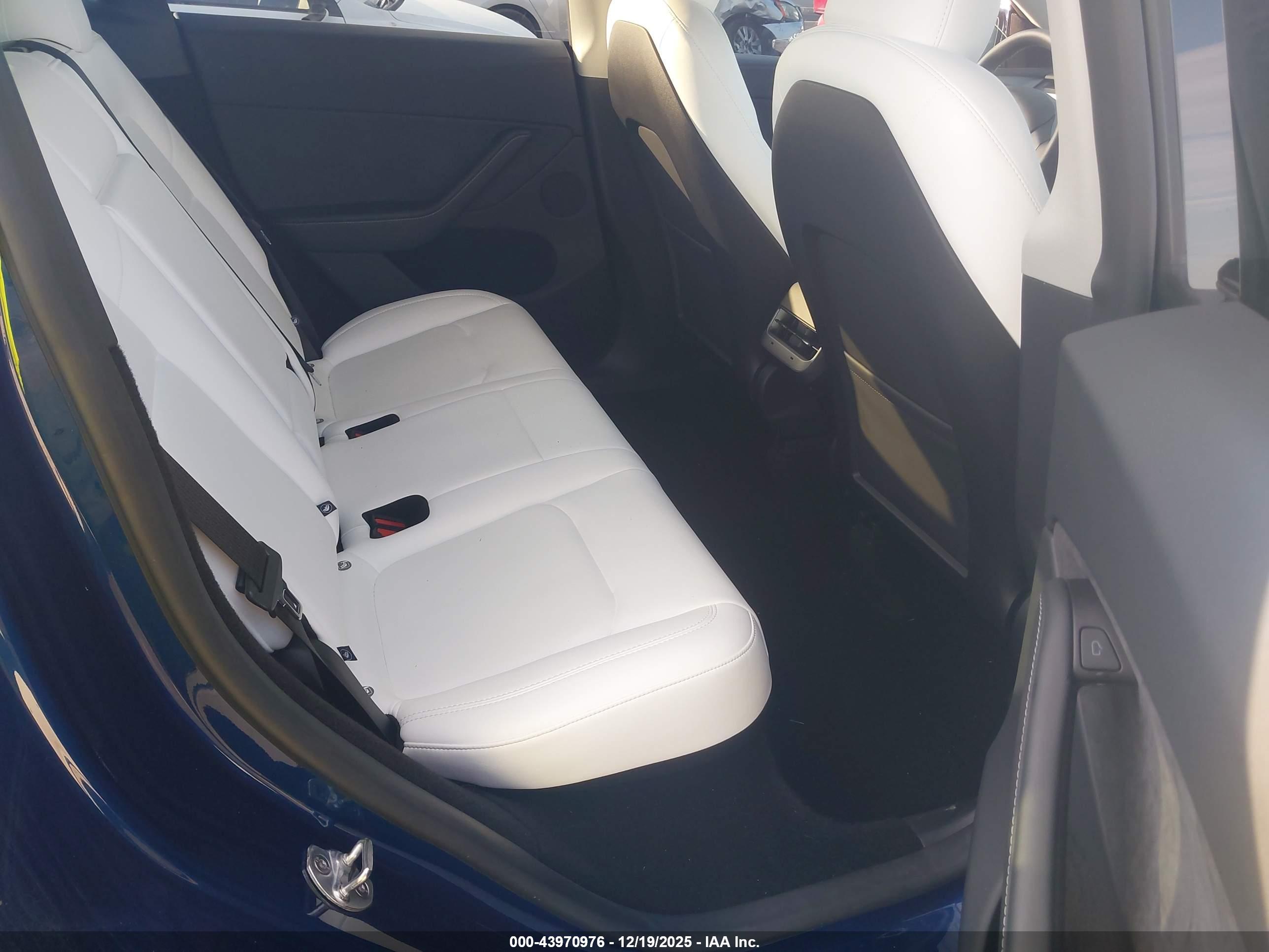 TESLA MODEL image 8