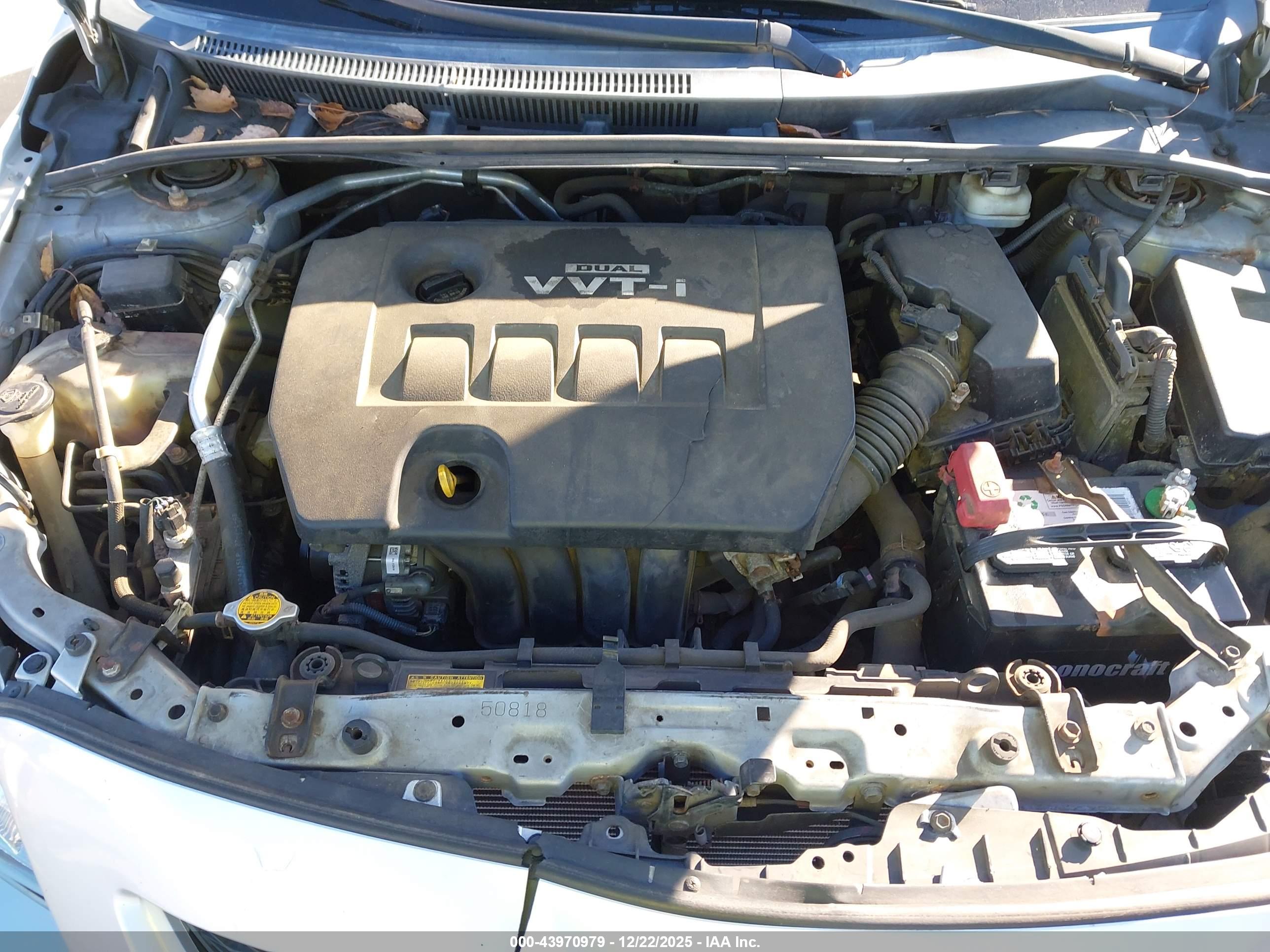 TOYOTA COROLLA image 10