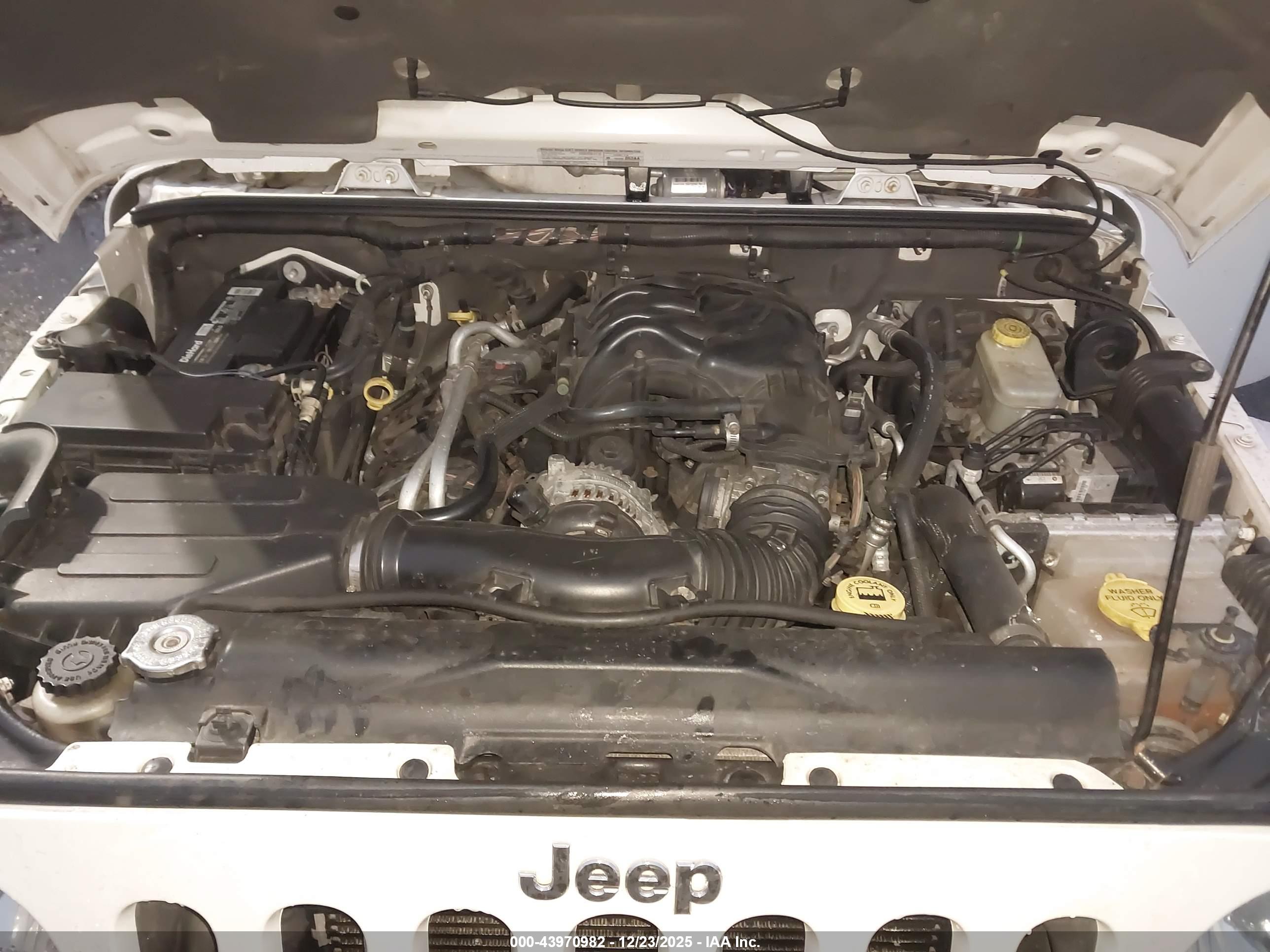 JEEP WRANGLER image 10