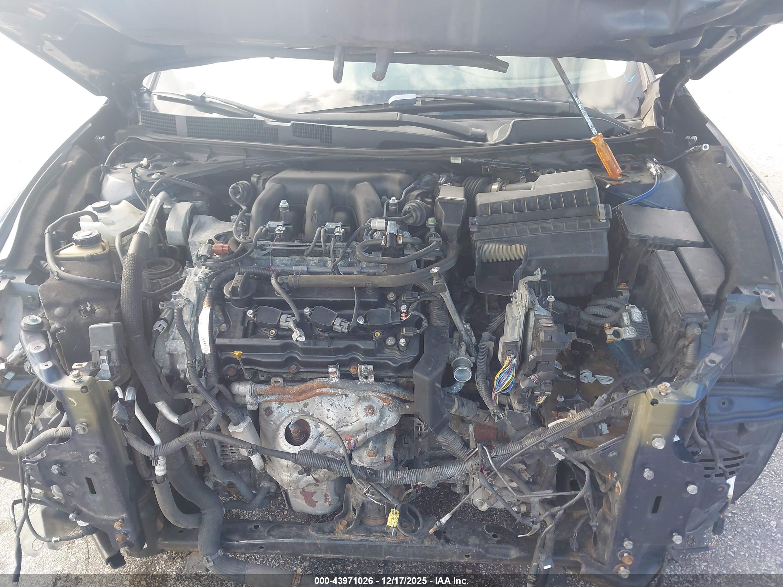 NISSAN MAXIMA image 6