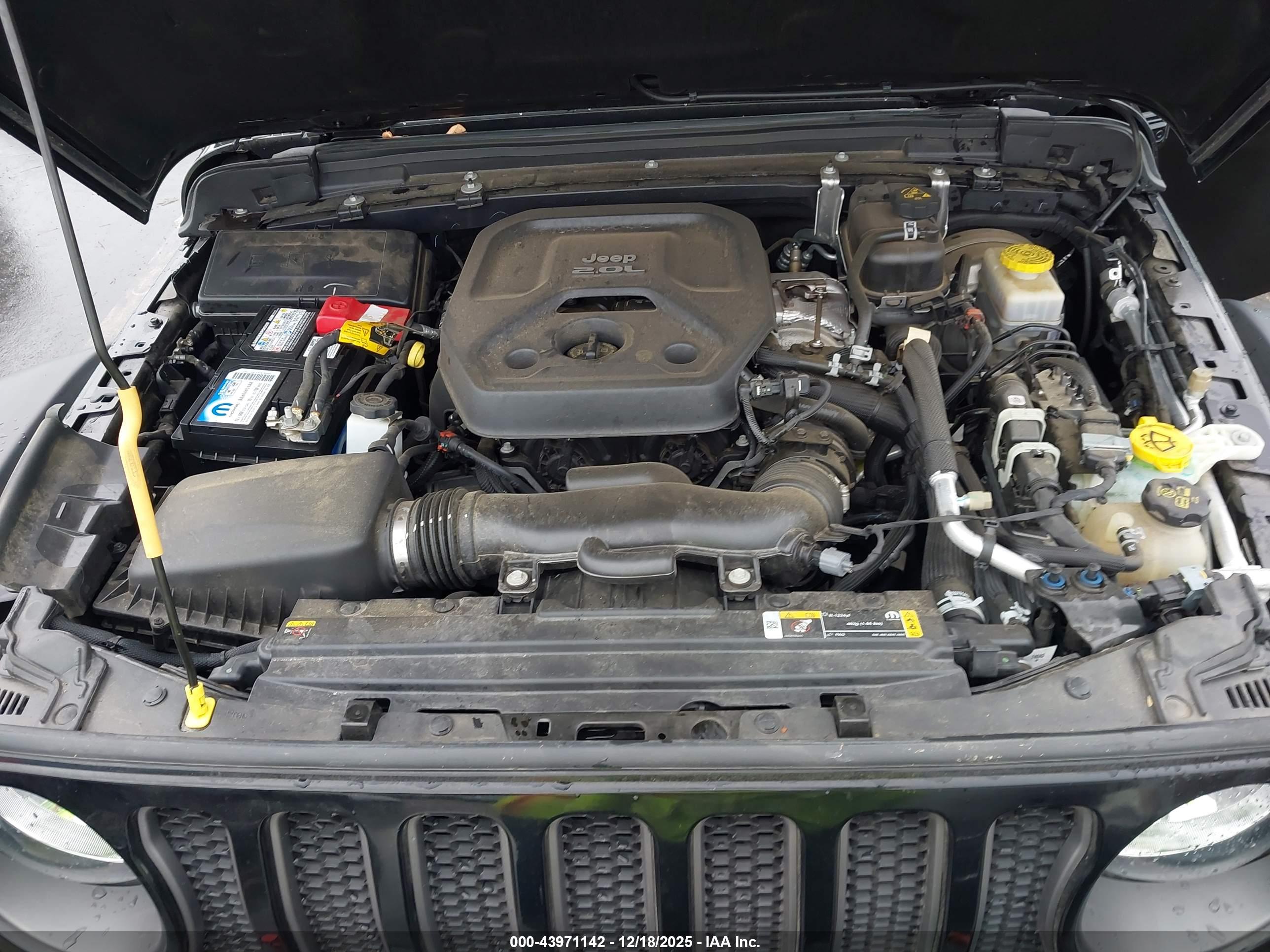JEEP WRANGLER image 10