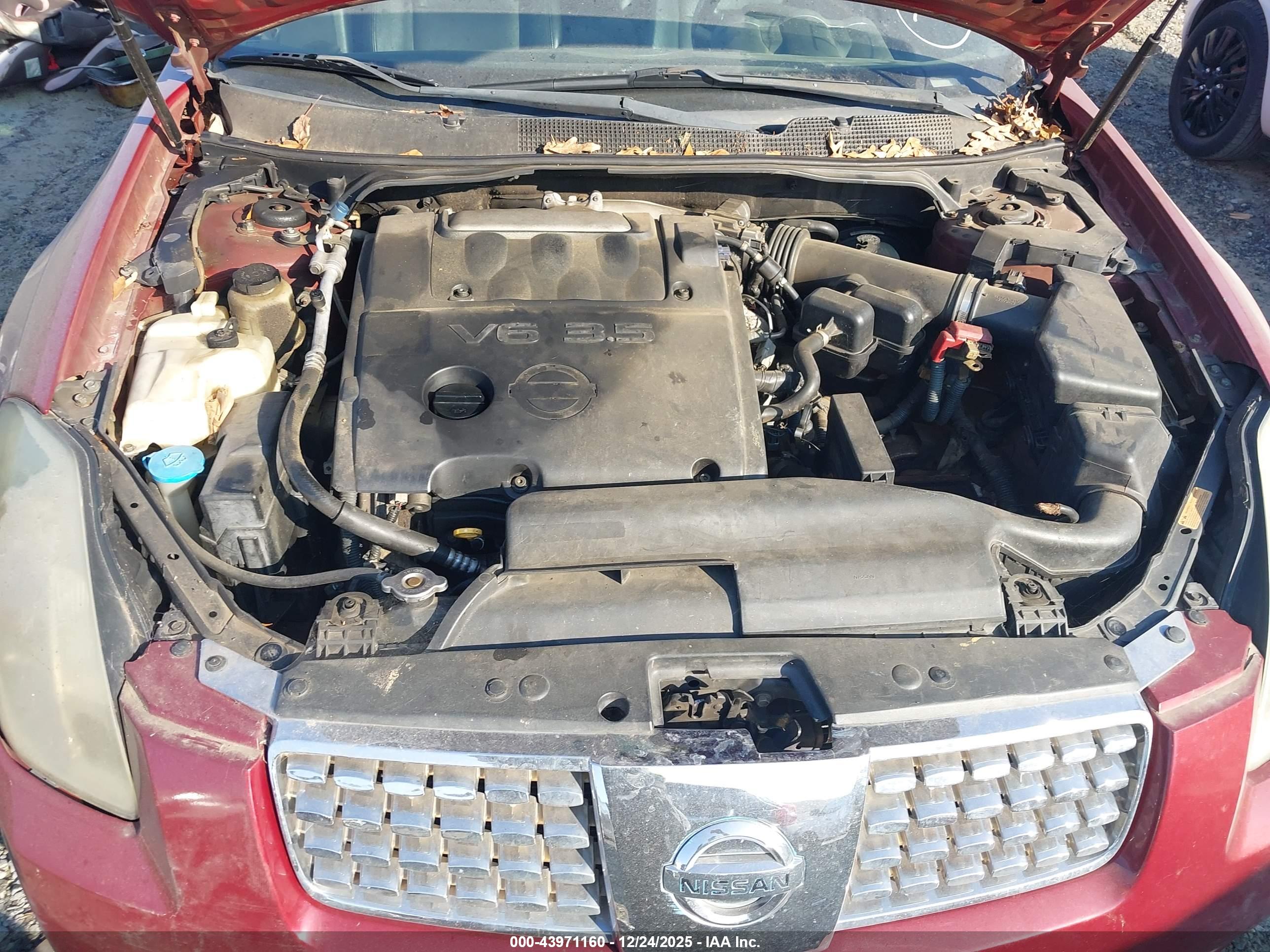 NISSAN MAXIMA image 10