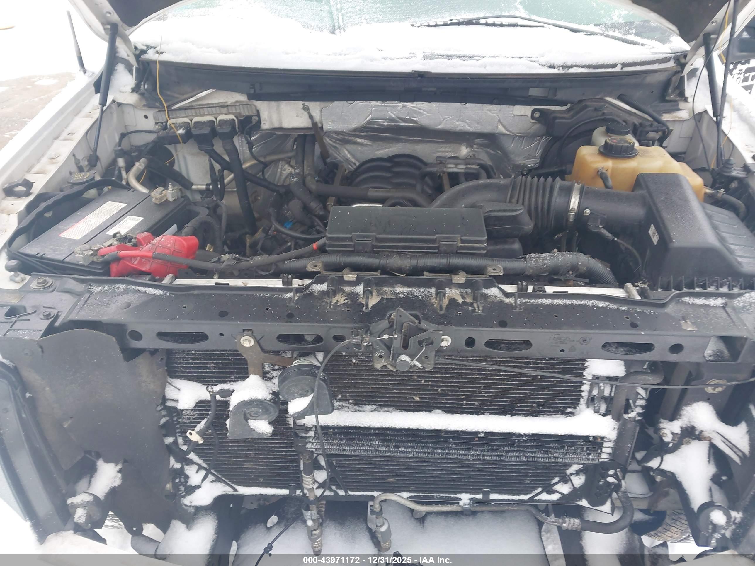 FORD F-150 image 10