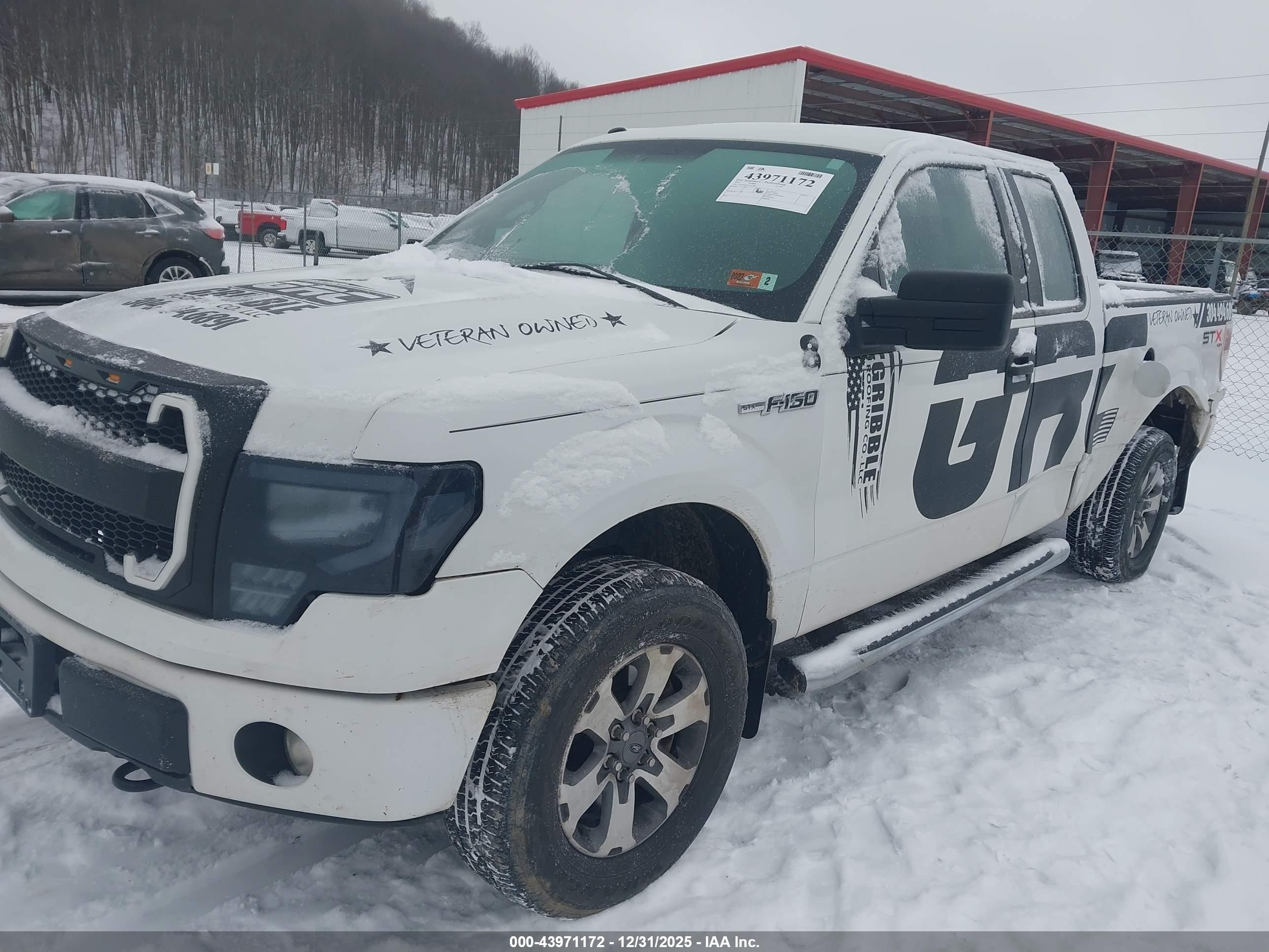 FORD F-150 image 2
