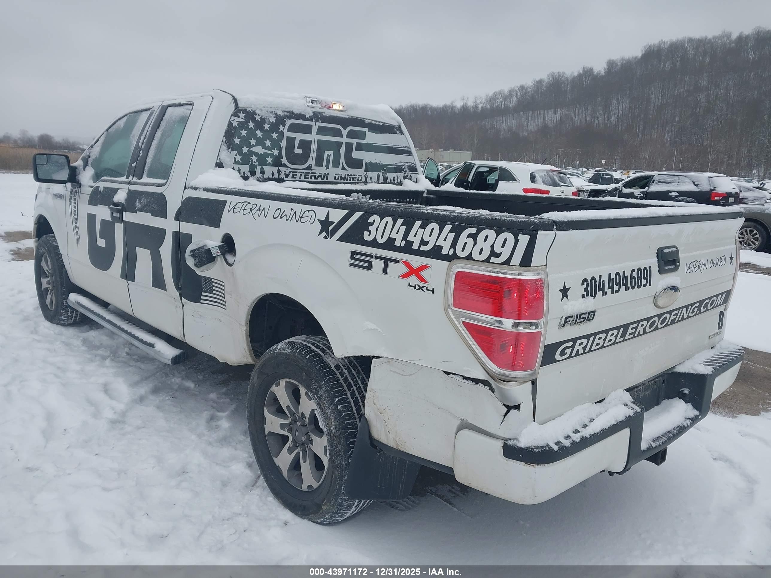 FORD F-150 image 3