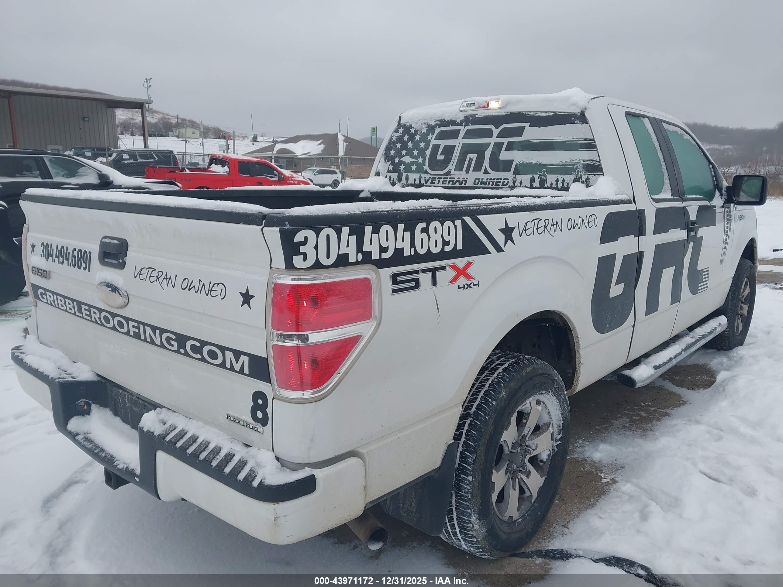 FORD F-150 image 4
