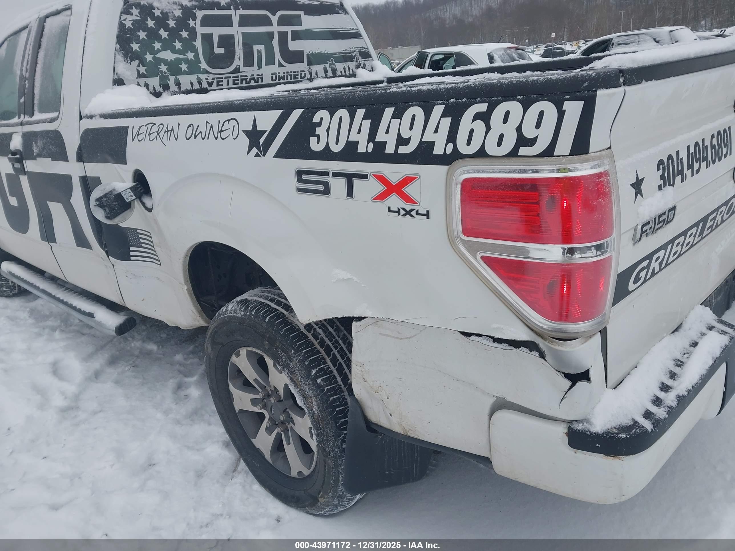 FORD F-150 image 6