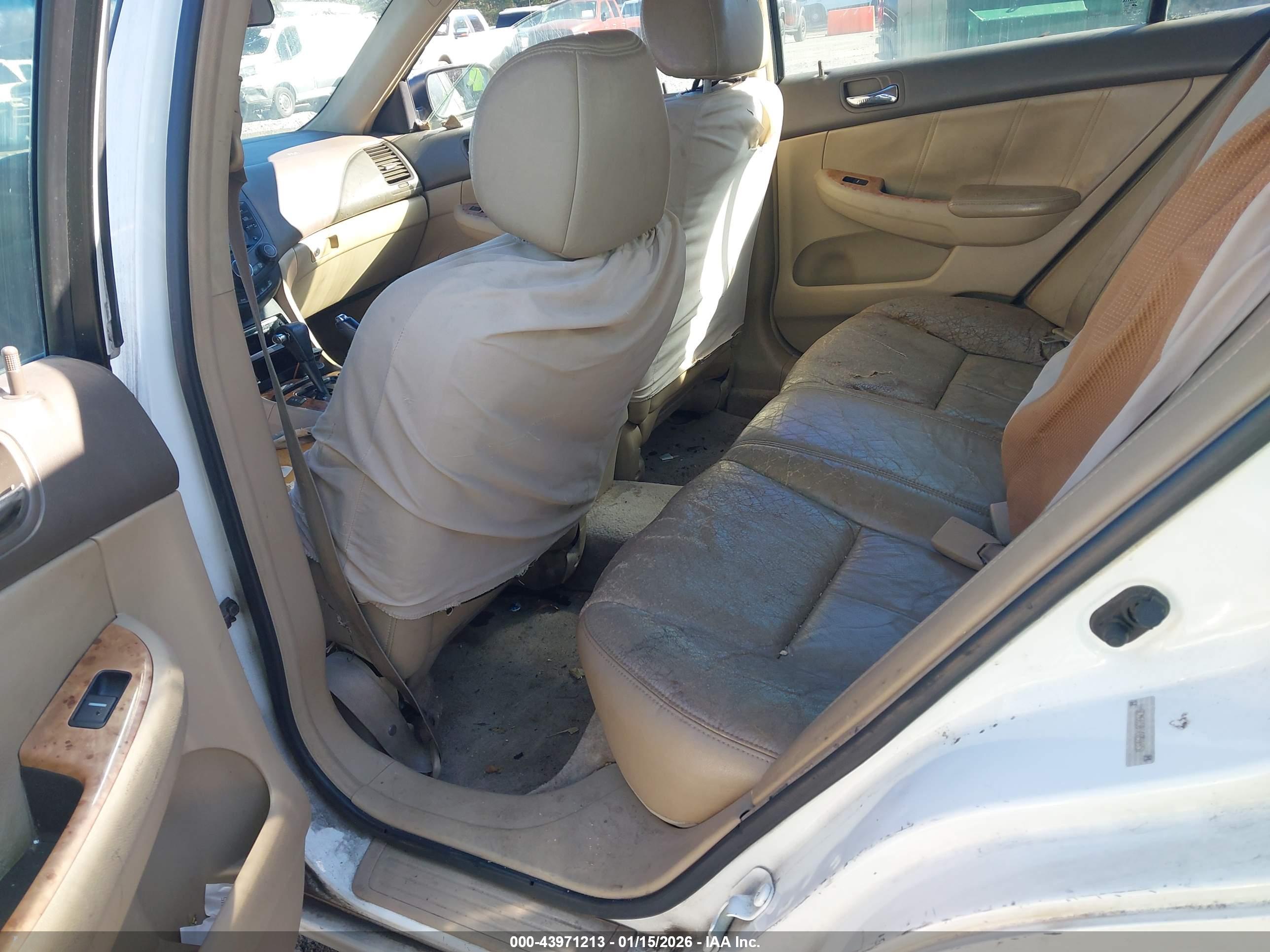 HONDA ACCORD image 8