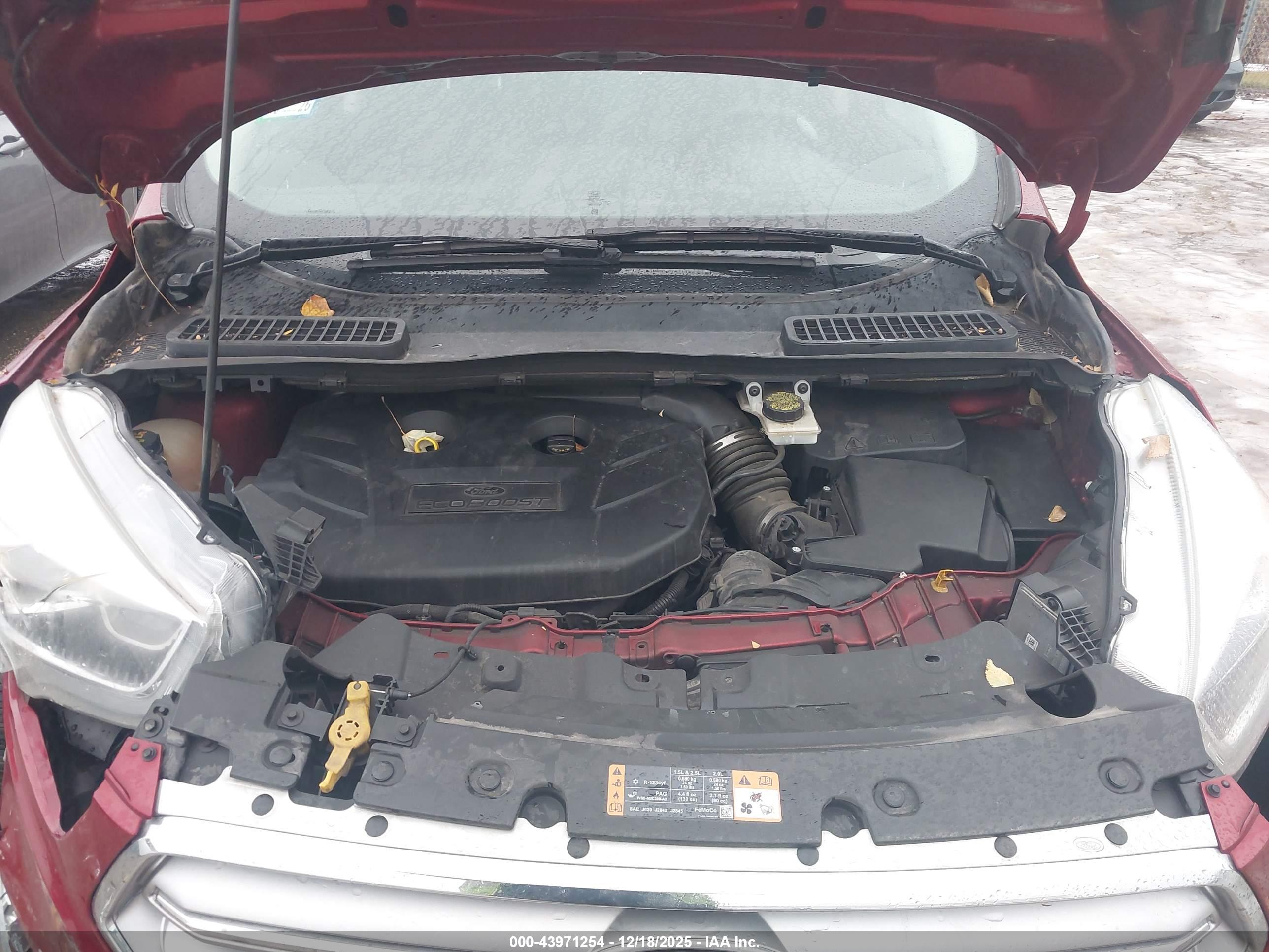 FORD ESCAPE image 10