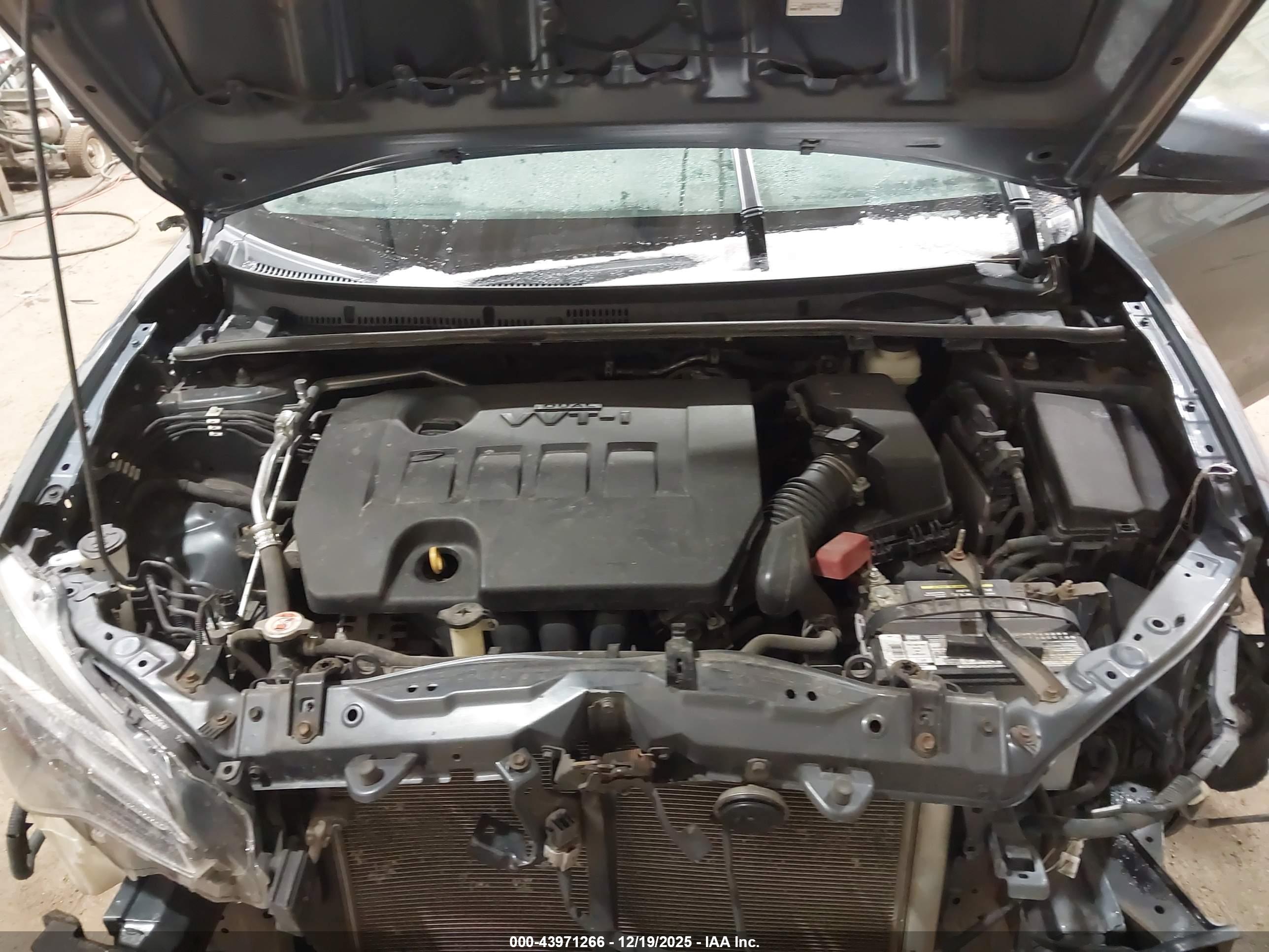 TOYOTA COROLLA image 10