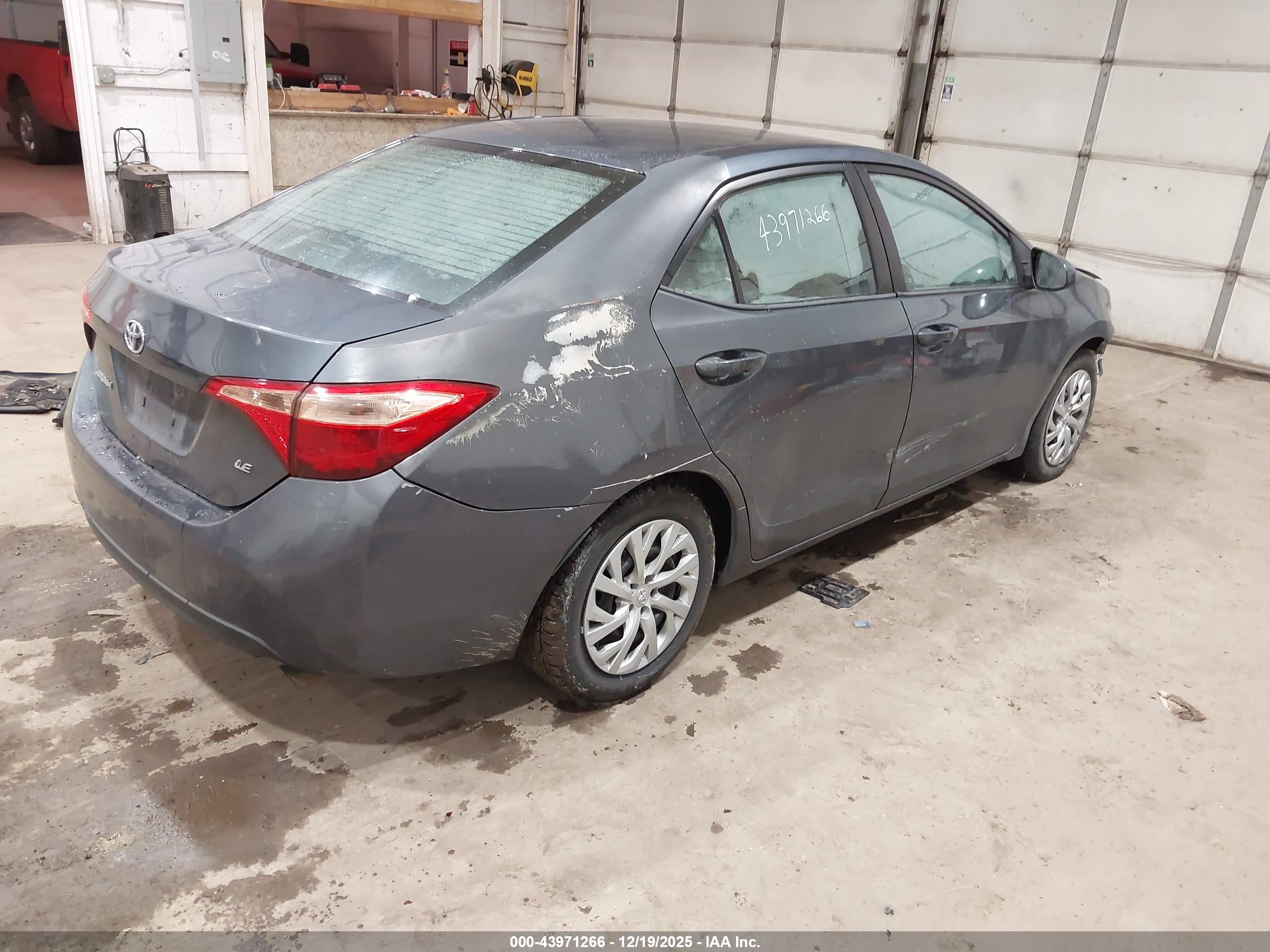 TOYOTA COROLLA image 4