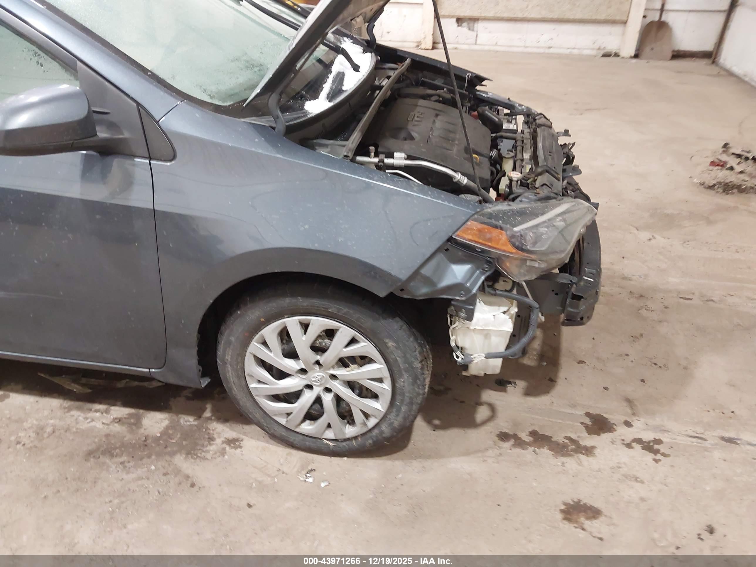 TOYOTA COROLLA image 6
