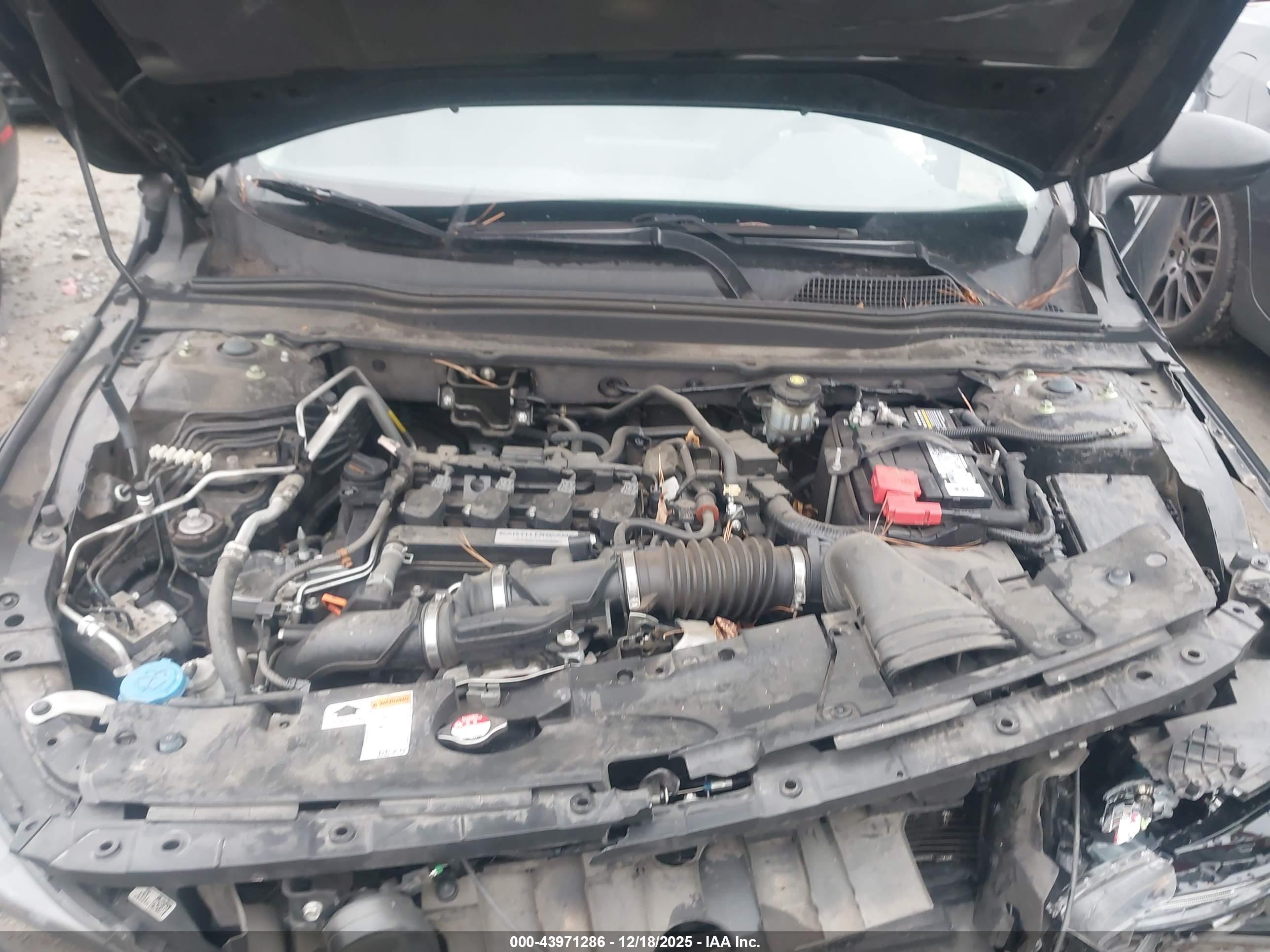 HONDA ACCORD image 10