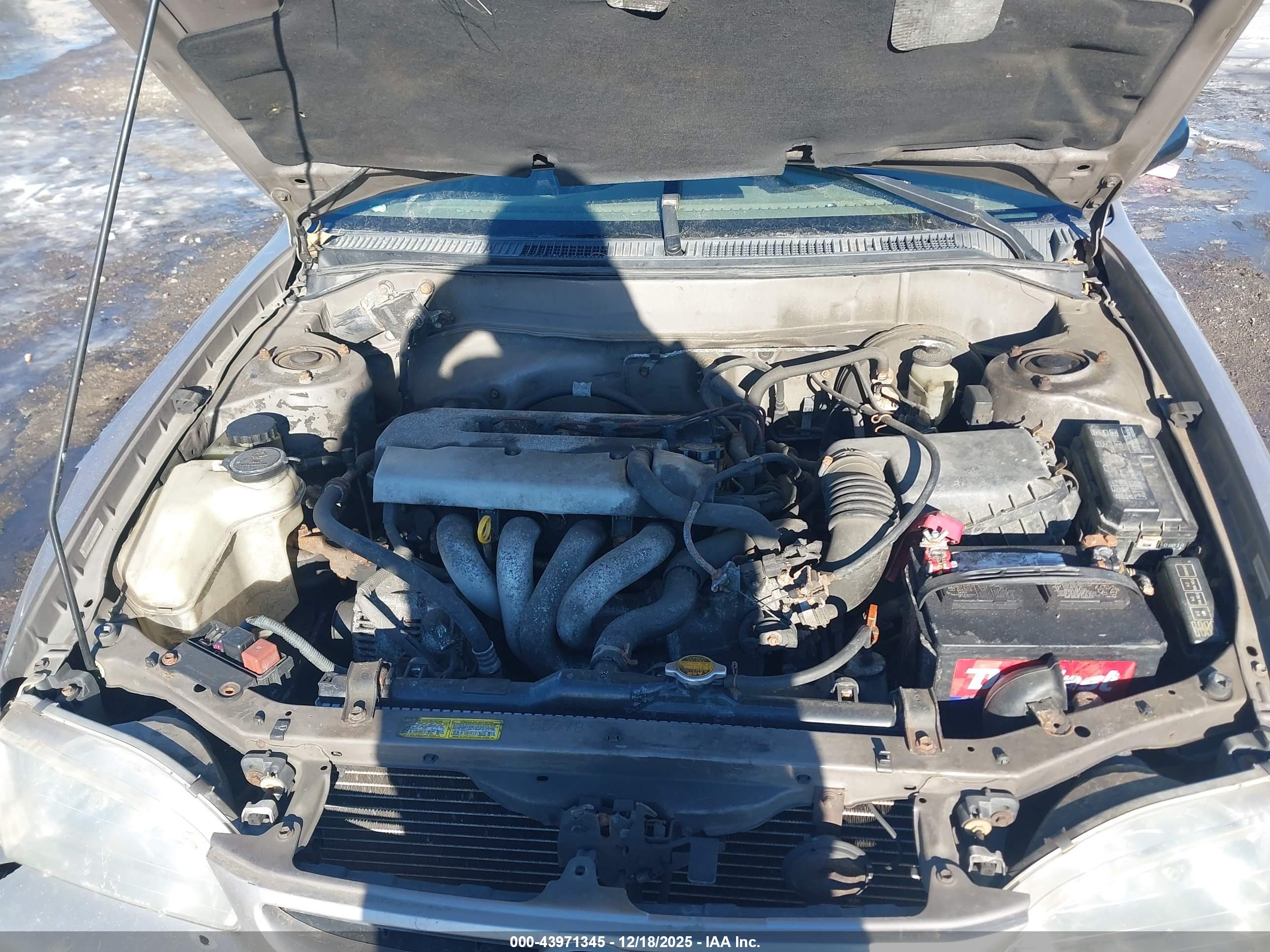 TOYOTA COROLLA image 10